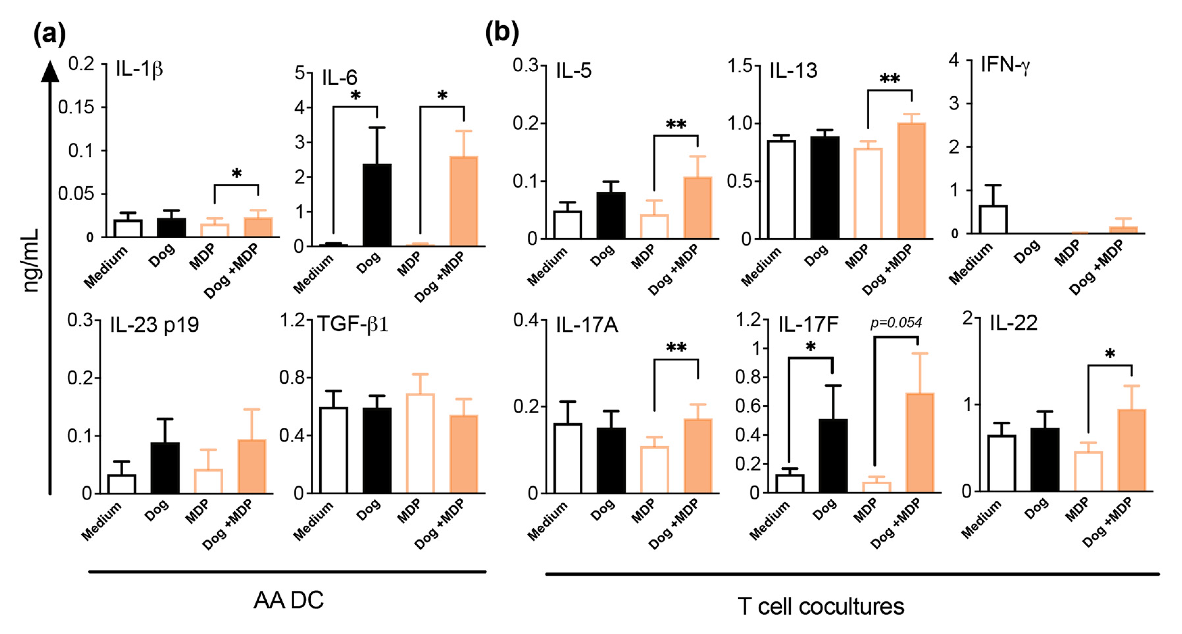 Ijms 23 11894 g008 Ijms 23 11894 g008