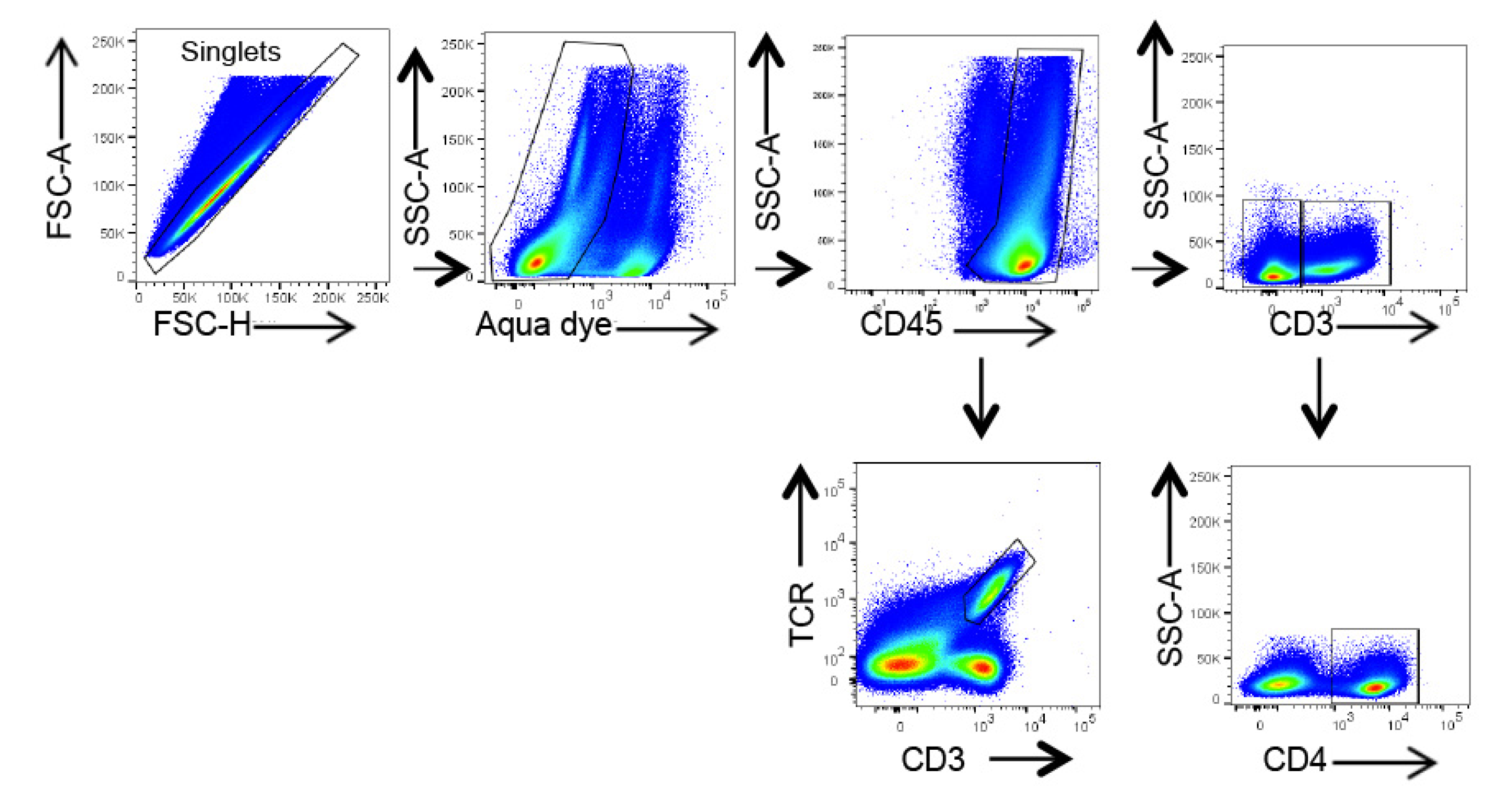 Ijms 23 11894 g009 Ijms 23 11894 g009