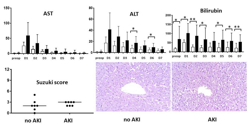 Ijms 23 11929 g001 Ijms 23 11929 g001