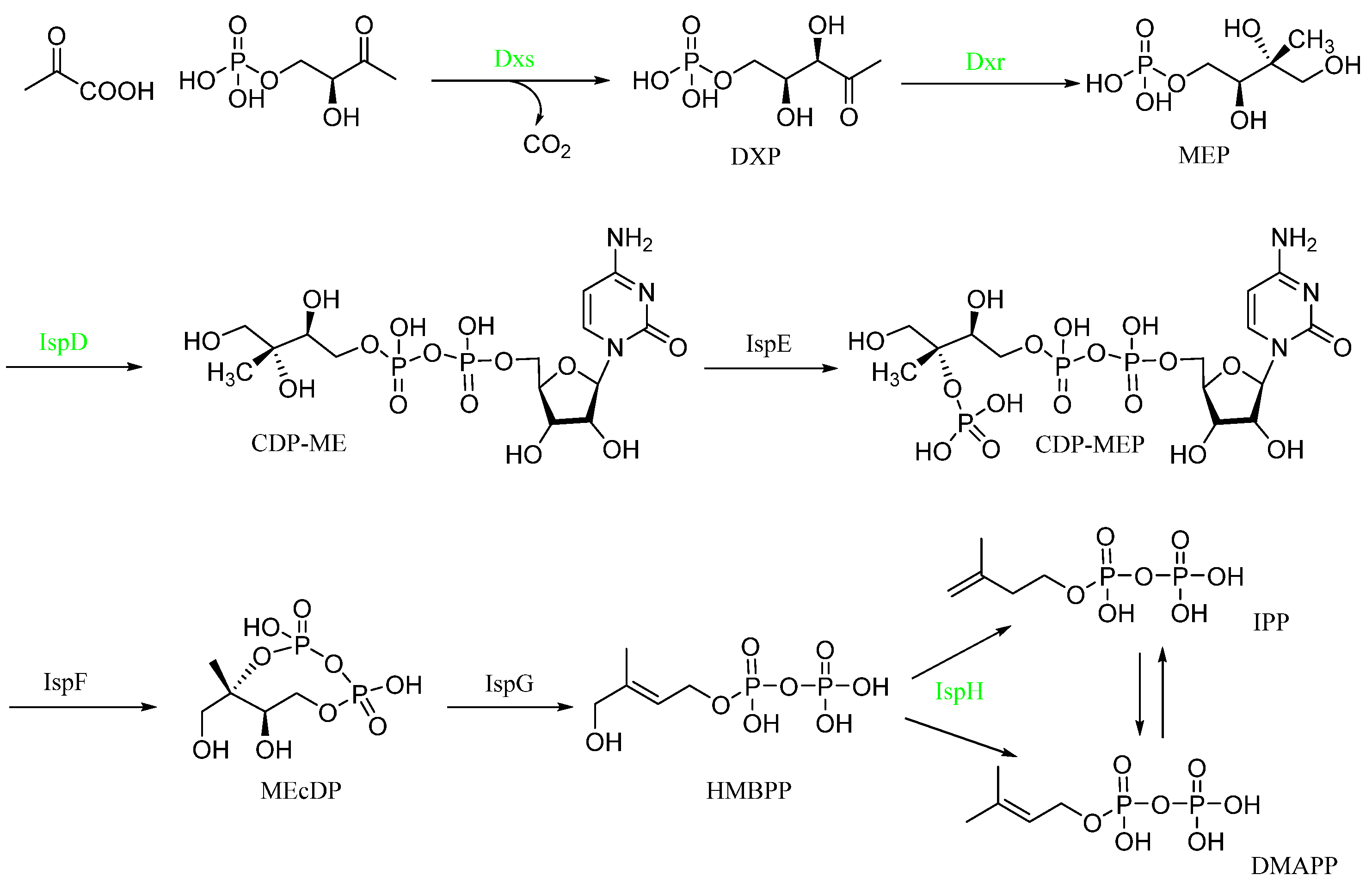 Ijms 23 11947 sch001