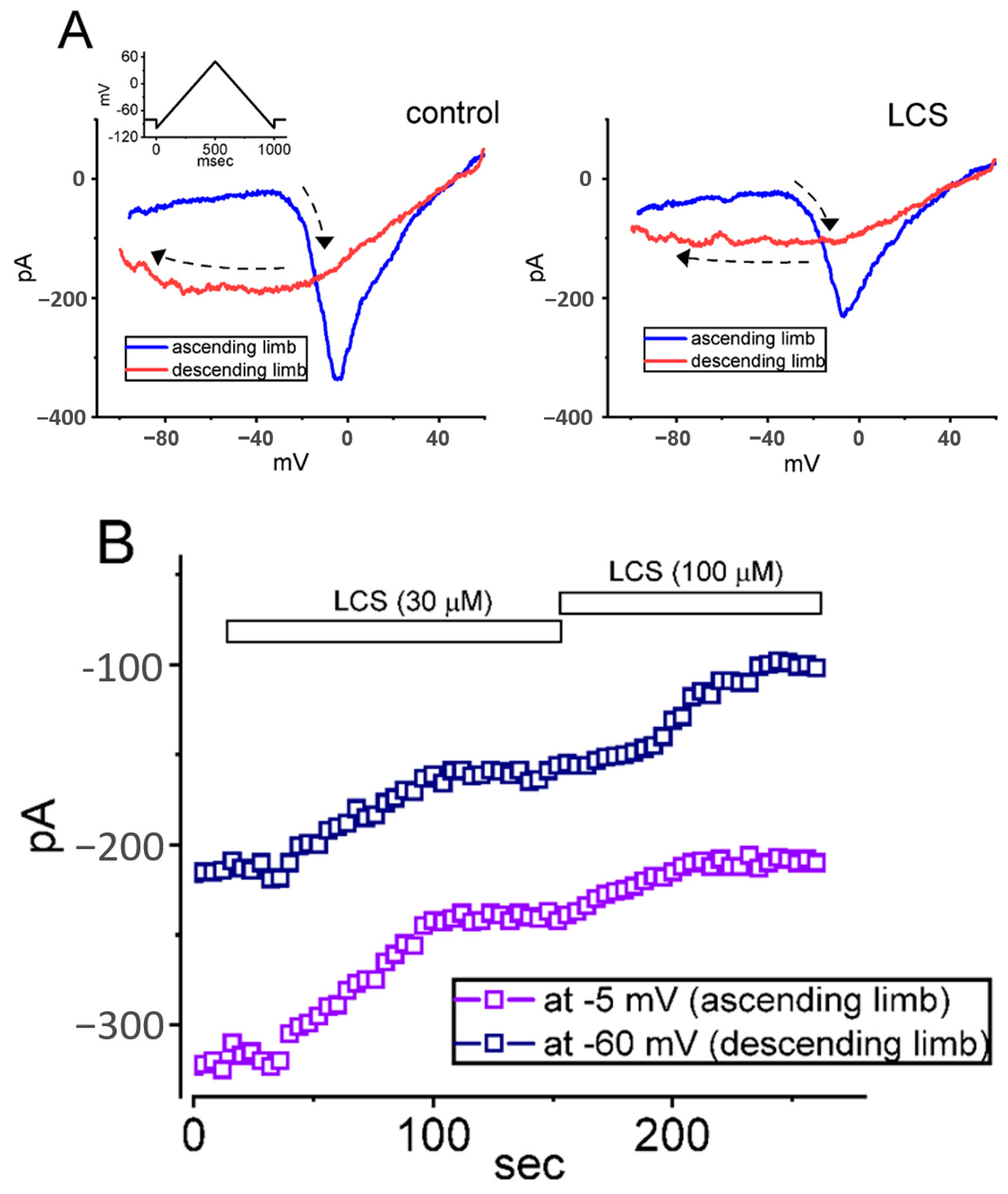 Ijms 23 11966 g003a Ijms 23 11966 g003a