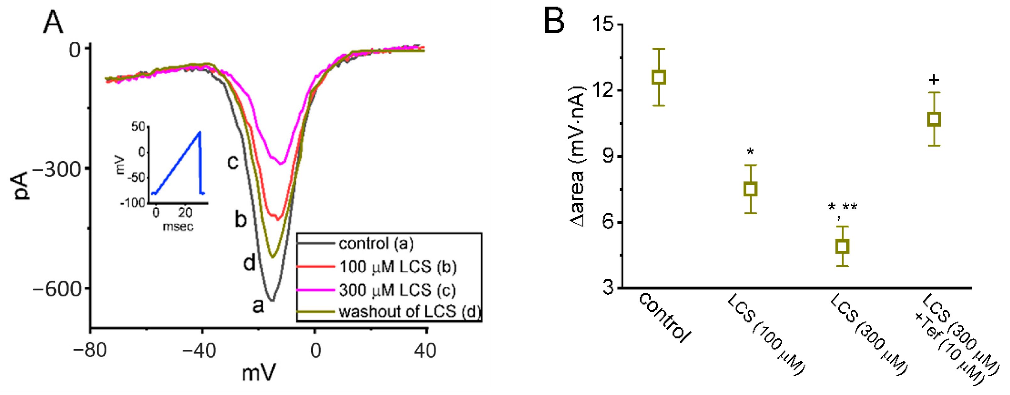 Ijms 23 11966 g004 Ijms 23 11966 g004