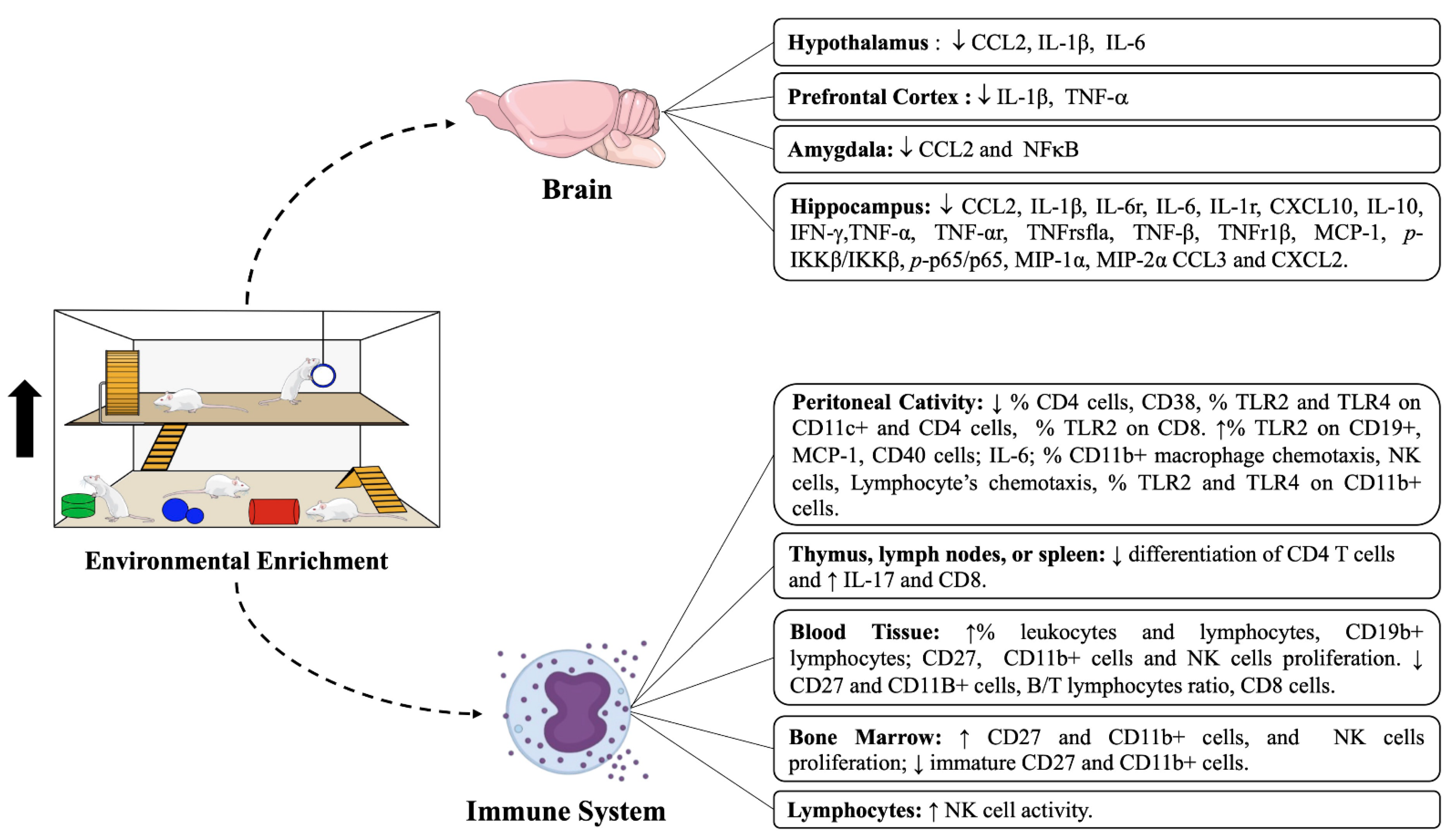 Ijms 23 11986 g002 Ijms 23 11986 g002