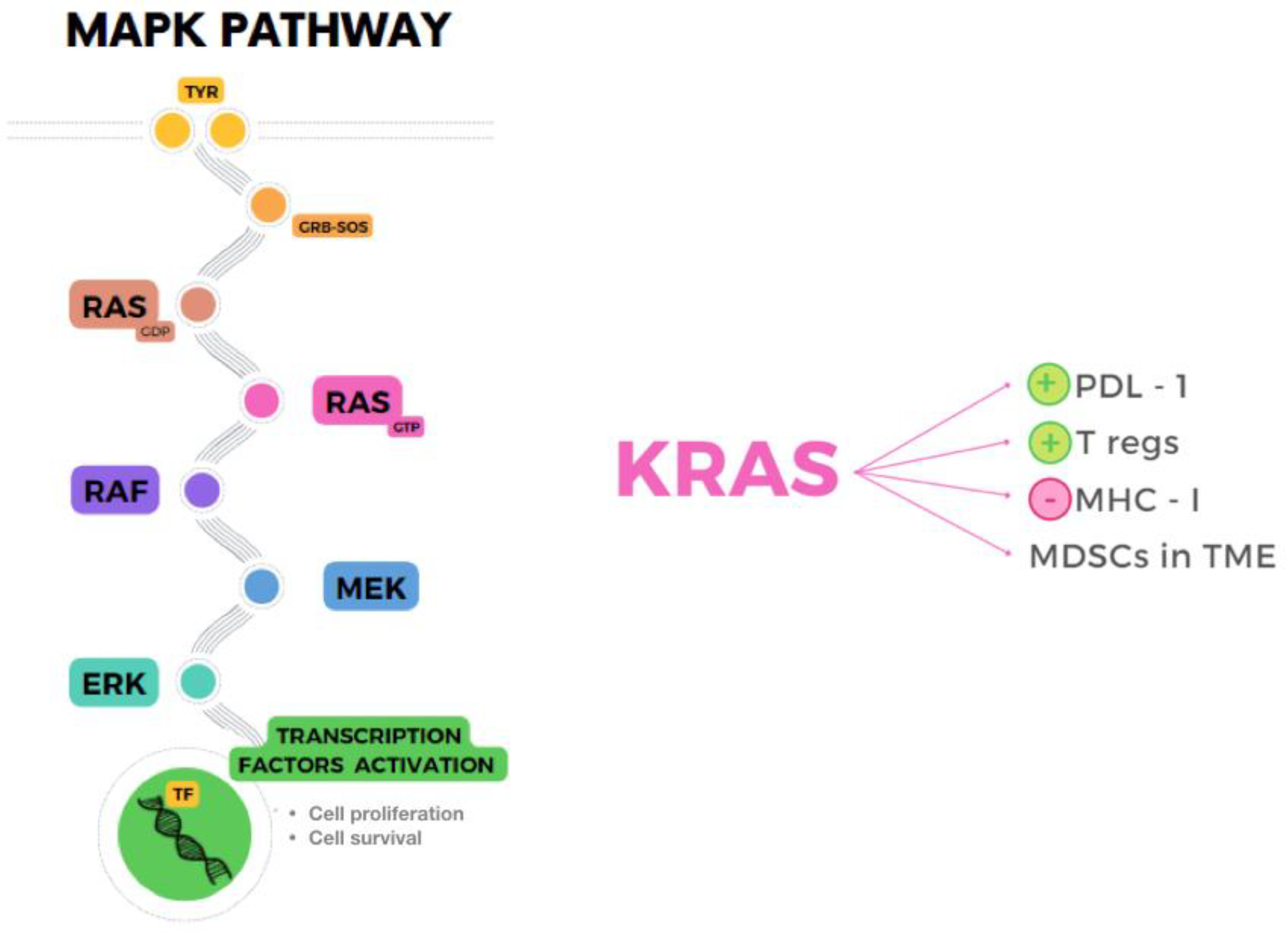 Ijms 23 11990 g002 Ijms 23 11990 g002