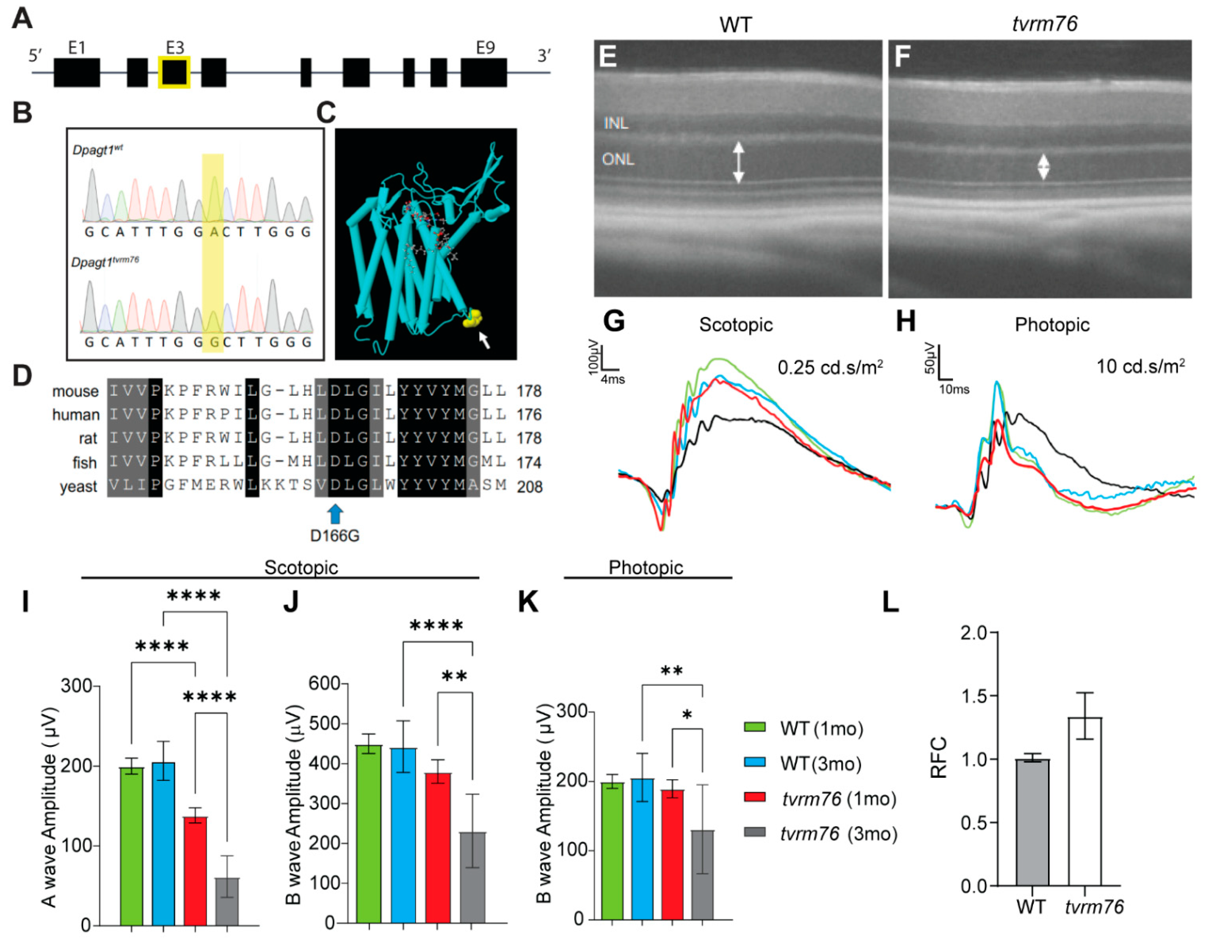 Ijms 23 12005 g001 Ijms 23 12005 g001