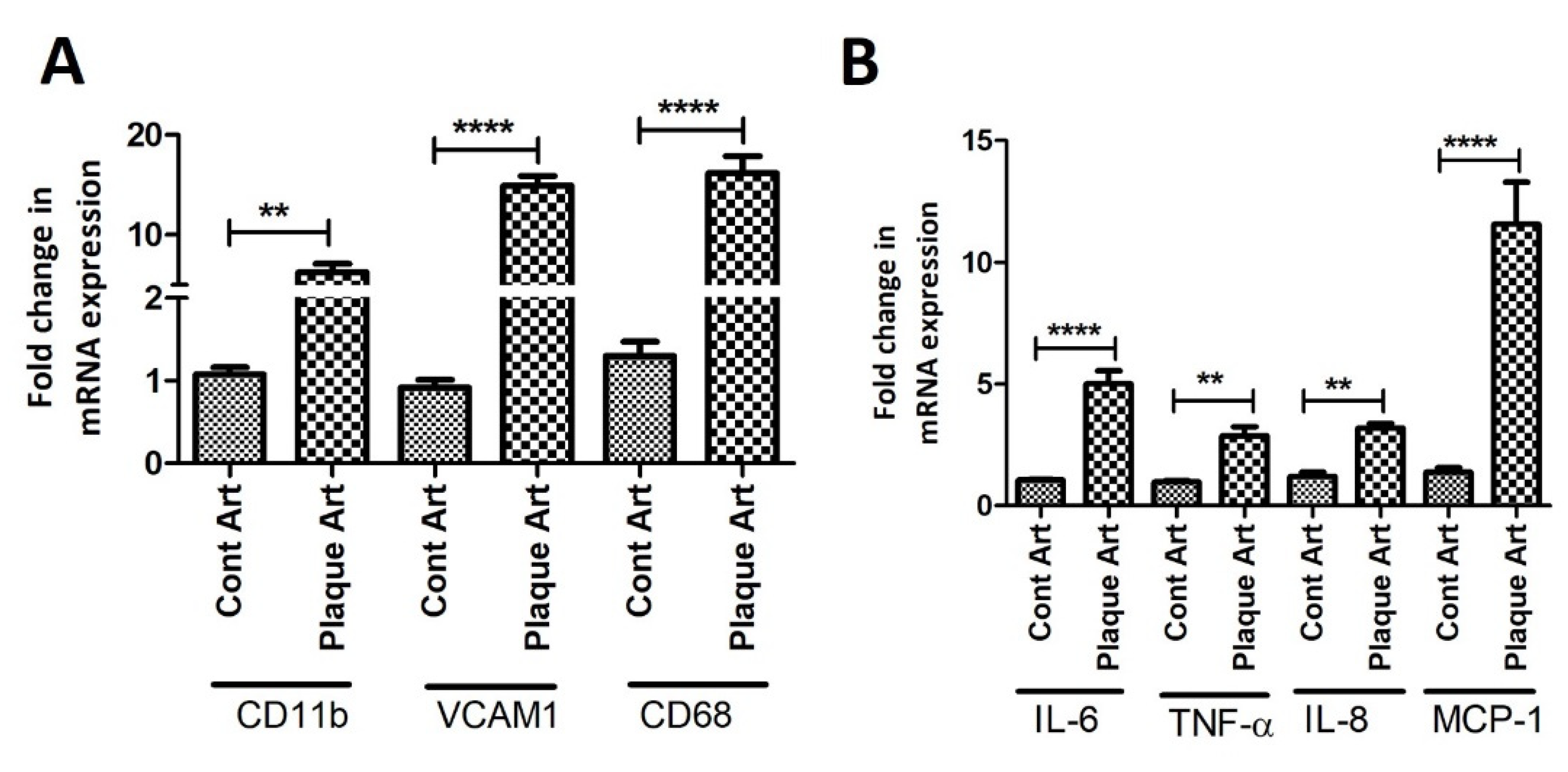 Ijms 23 12012 g002 Ijms 23 12012 g002