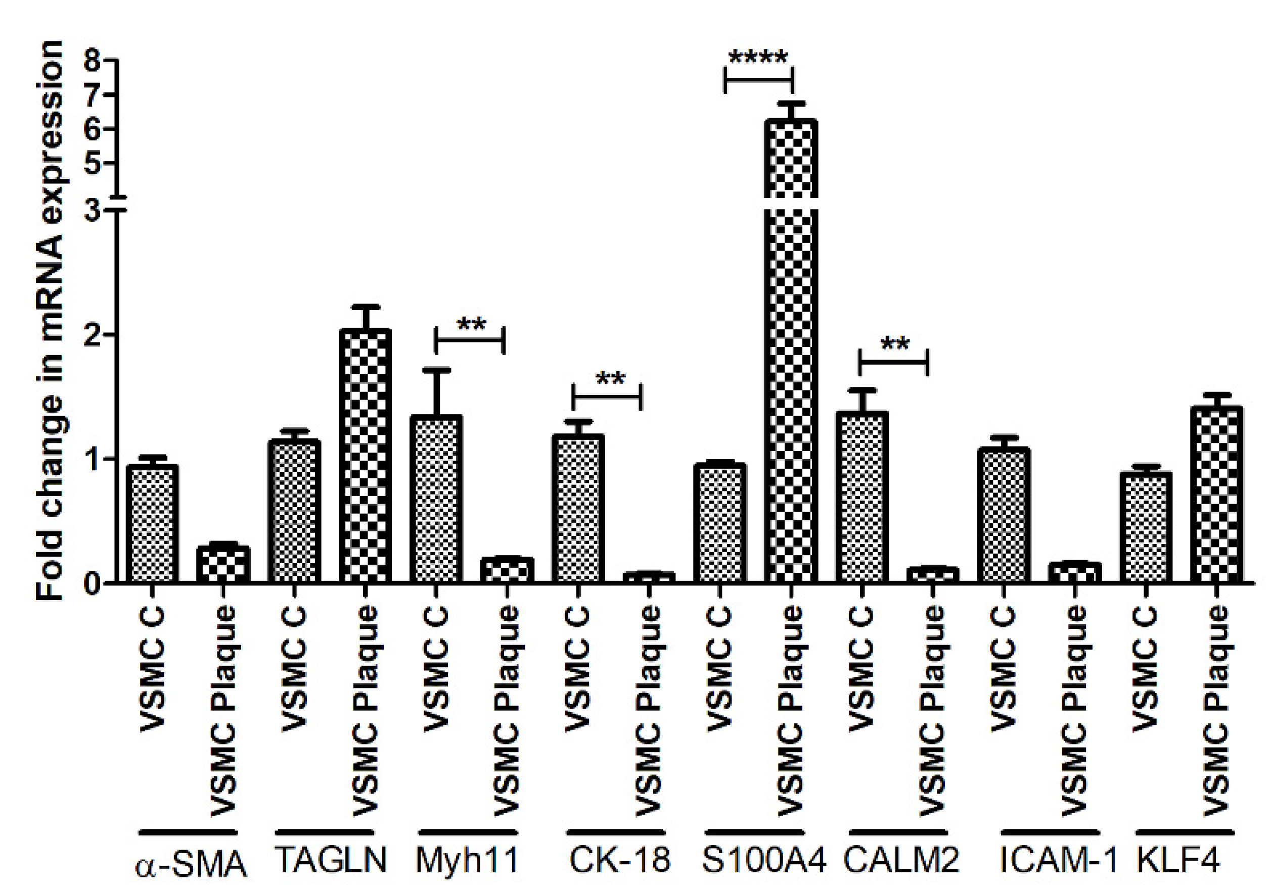 Ijms 23 12012 g003 Ijms 23 12012 g003