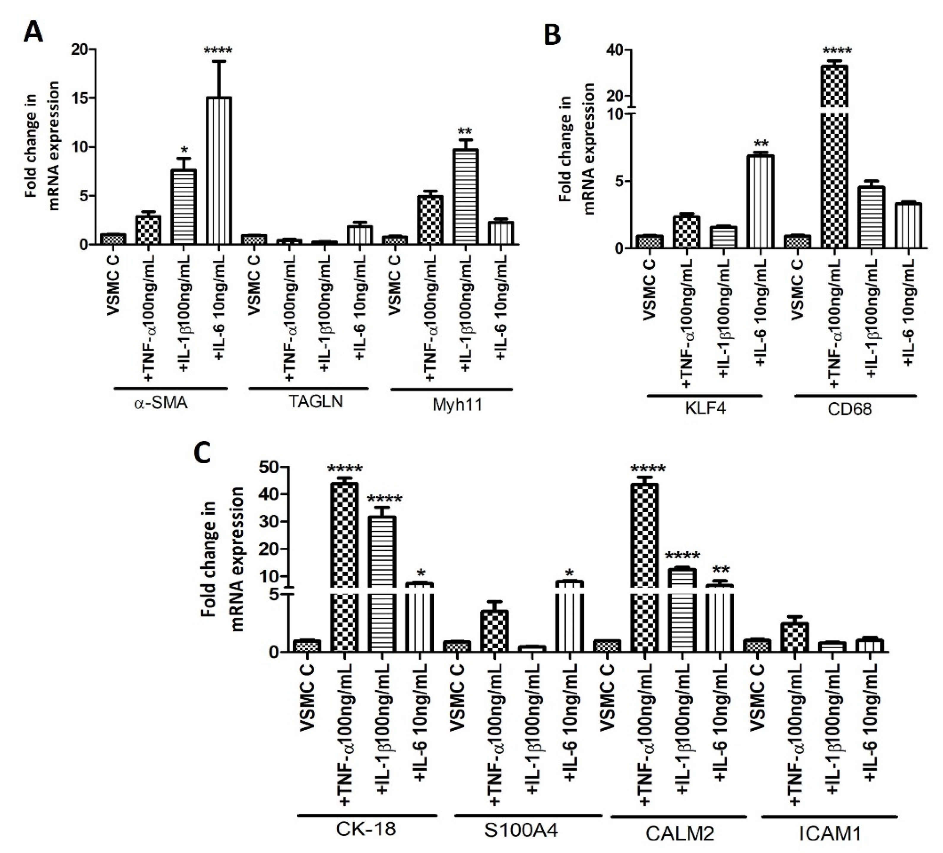 Ijms 23 12012 g004 Ijms 23 12012 g004