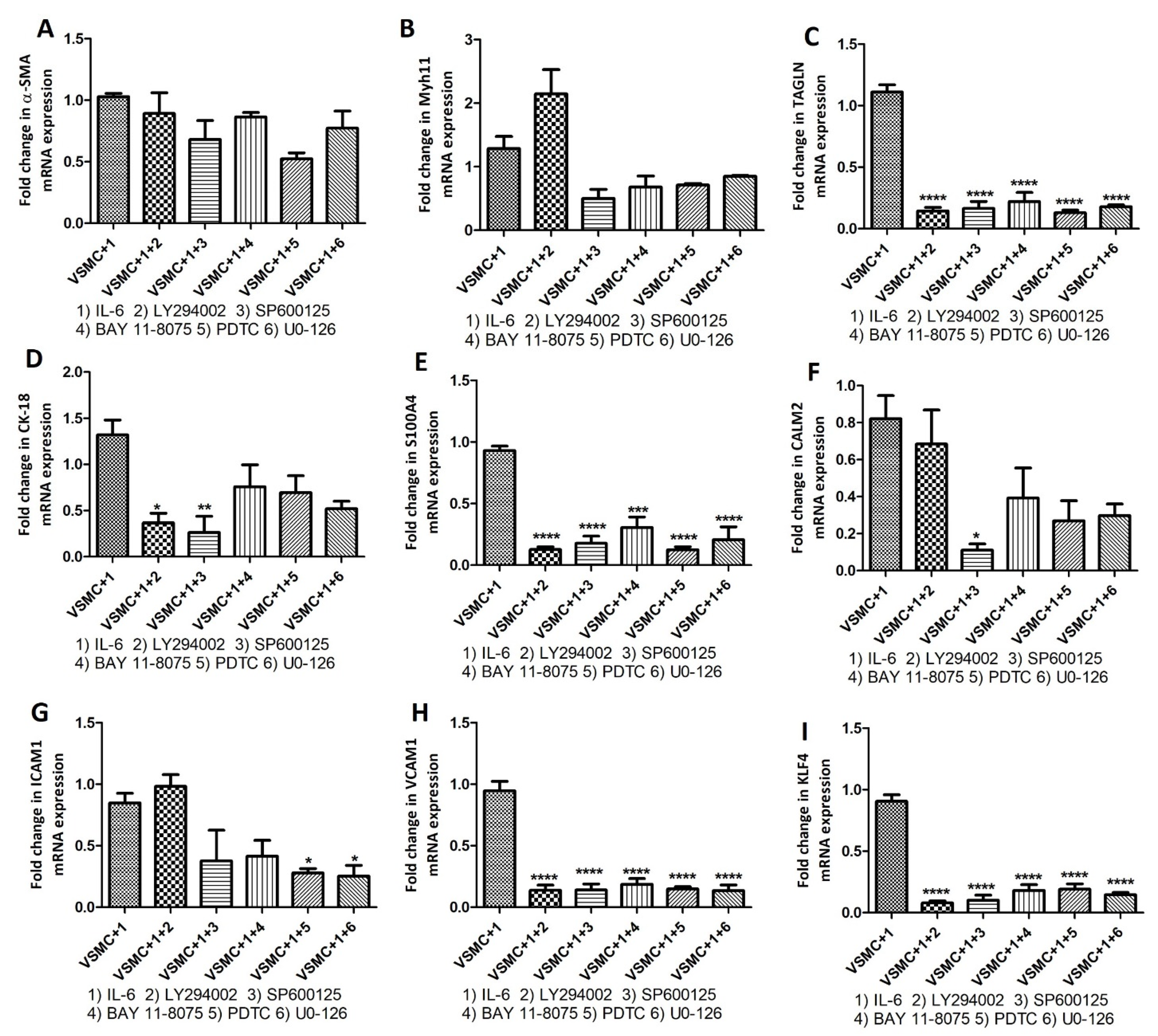 Ijms 23 12012 g007 Ijms 23 12012 g007