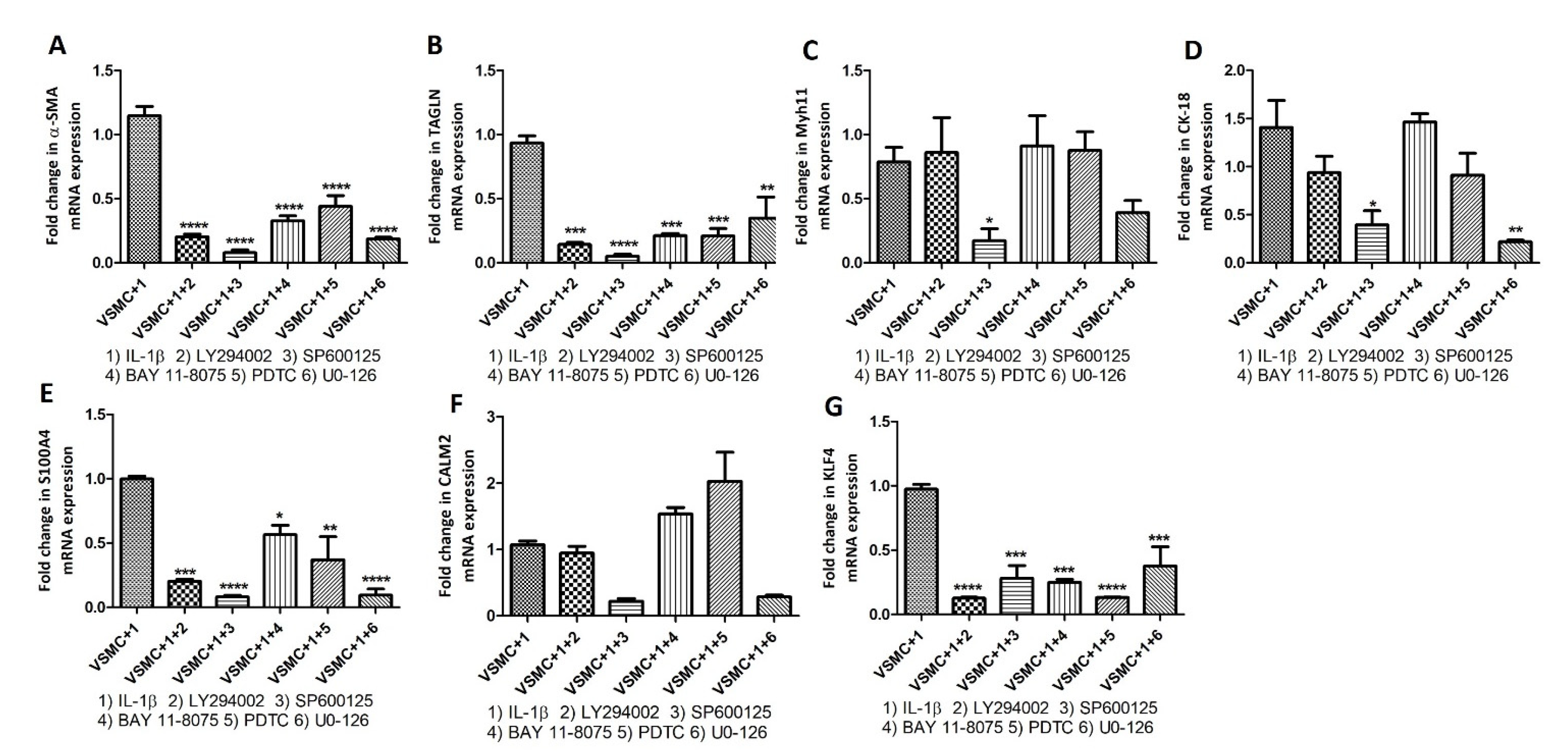 Ijms 23 12012 g008 Ijms 23 12012 g008