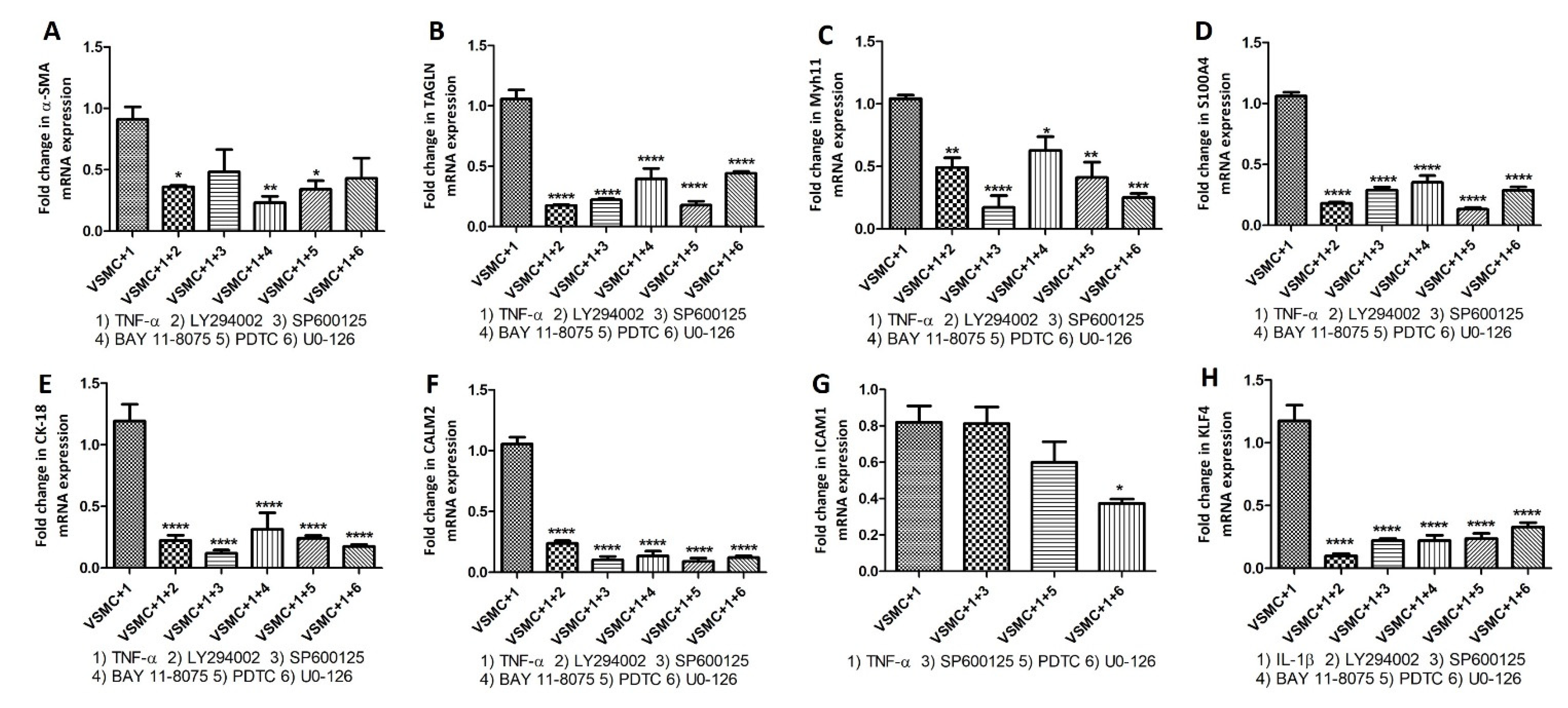 Ijms 23 12012 g009 Ijms 23 12012 g009