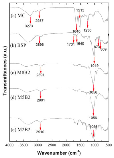 https://www.mdpi.com/ijms/ijms-23-12019/article_deploy/html/images/ijms-23-12019-g002-550.jpg