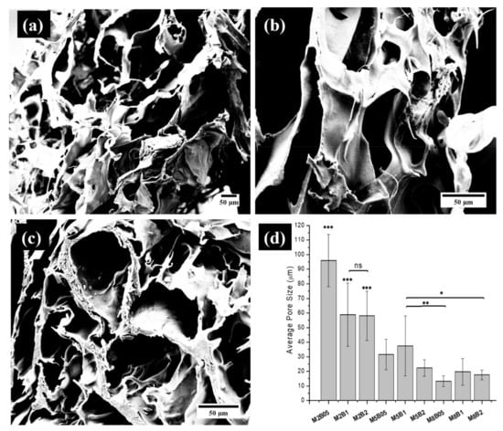 https://www.mdpi.com/ijms/ijms-23-12019/article_deploy/html/images/ijms-23-12019-g004-550.jpg