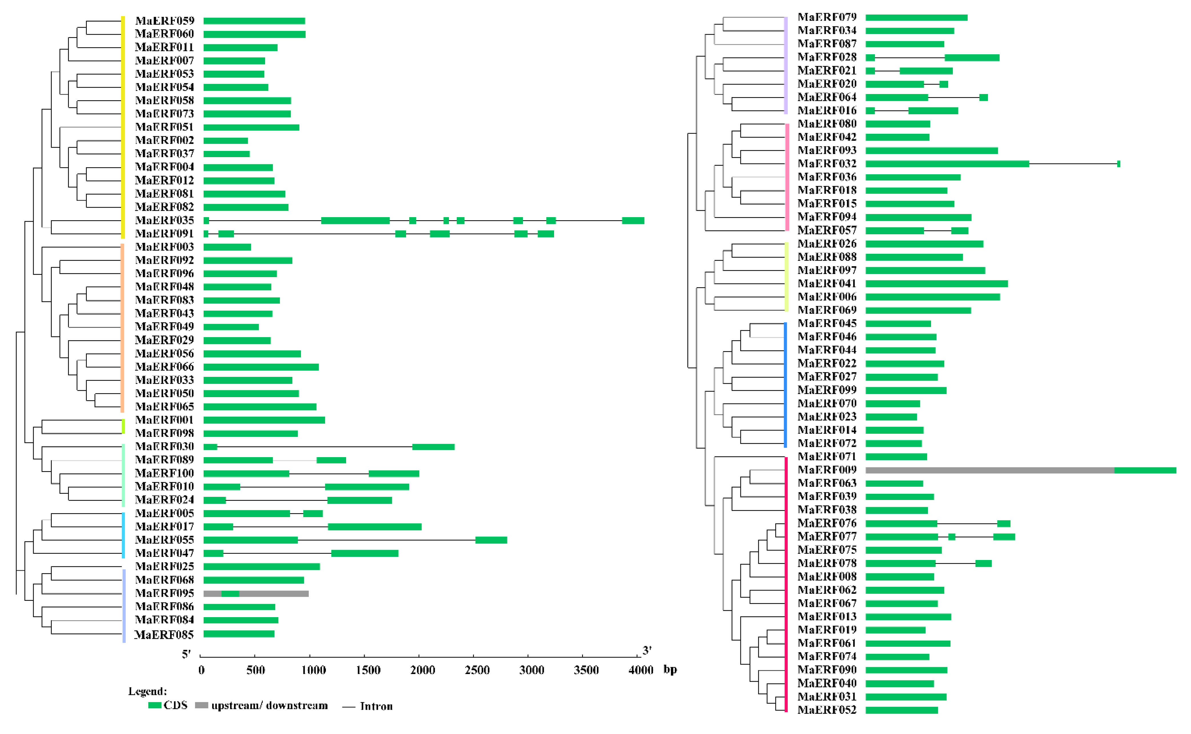 Ijms 23 12023 g004 Ijms 23 12023 g004