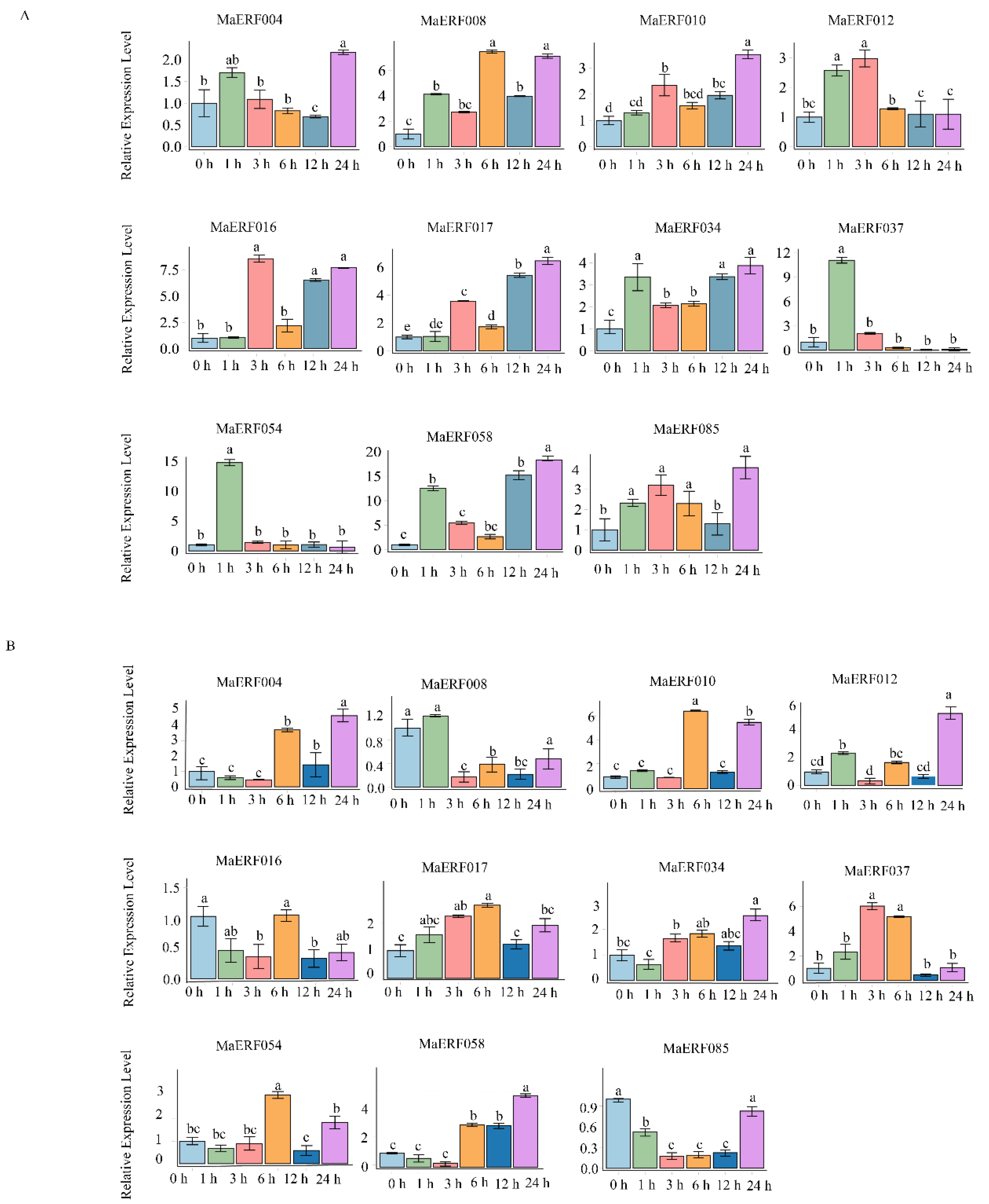 Ijms 23 12023 g007 Ijms 23 12023 g007