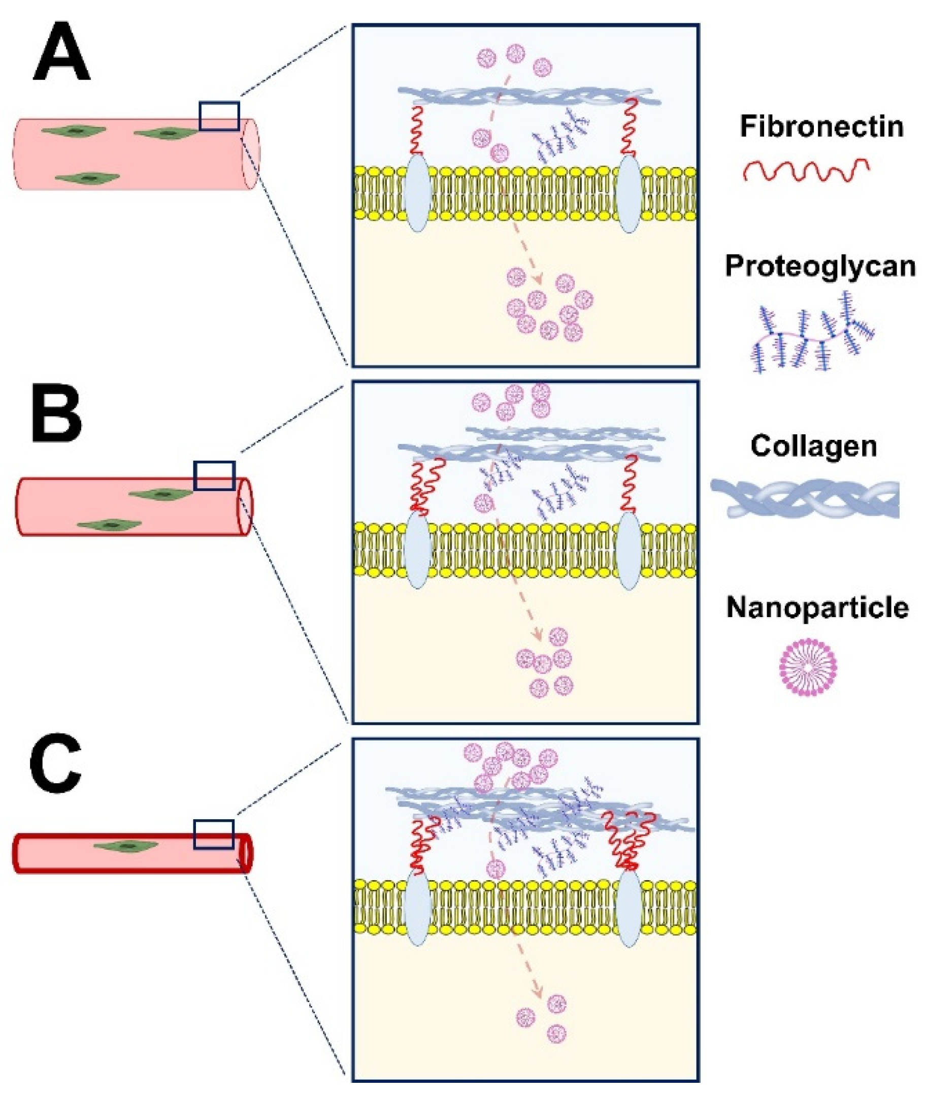 Ijms 23 12039 g001 Ijms 23 12039 g001