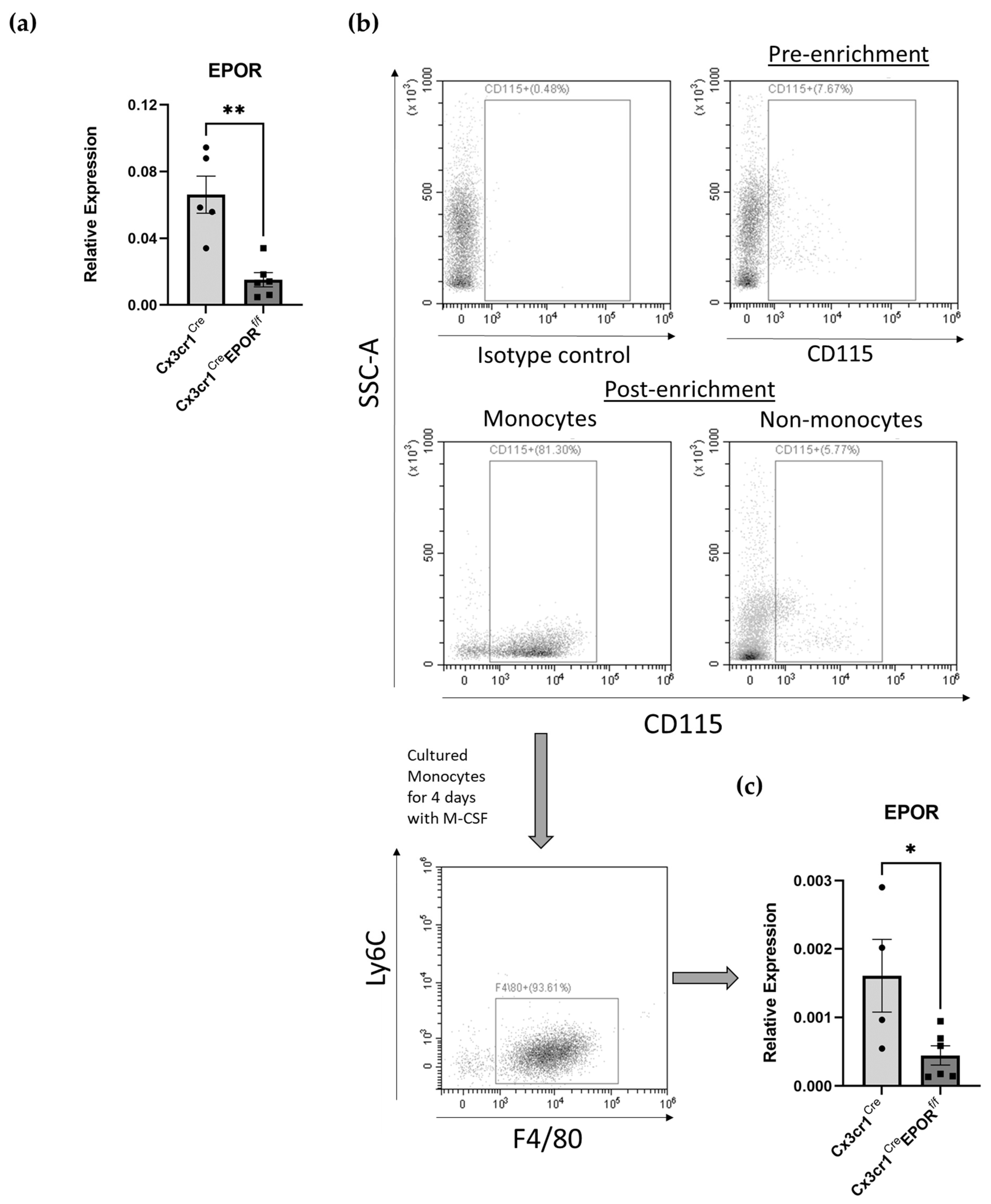 Ijms 23 12051 g002 Ijms 23 12051 g002