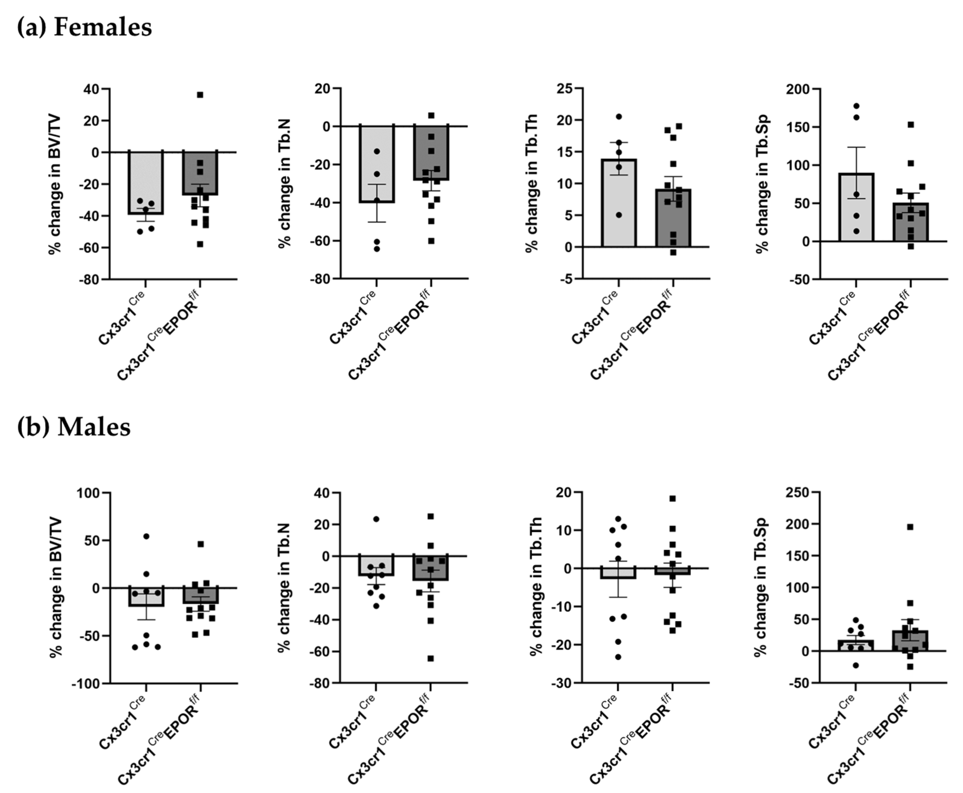 Ijms 23 12051 g004 Ijms 23 12051 g004