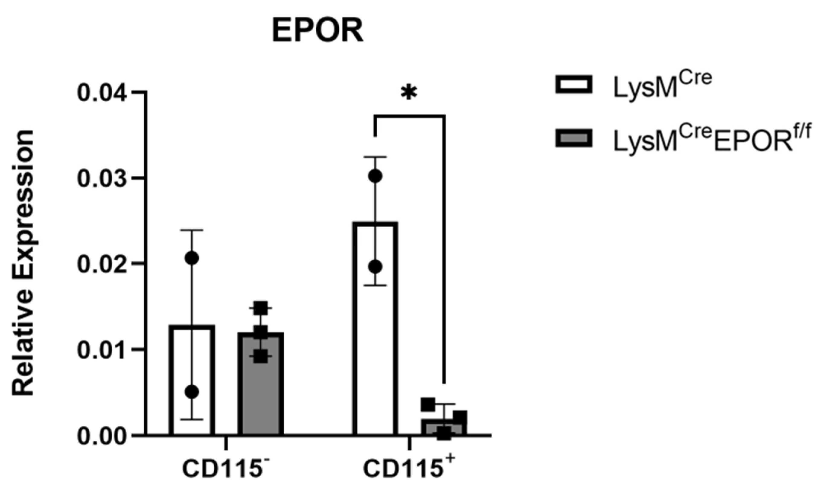 Ijms 23 12051 g006 Ijms 23 12051 g006