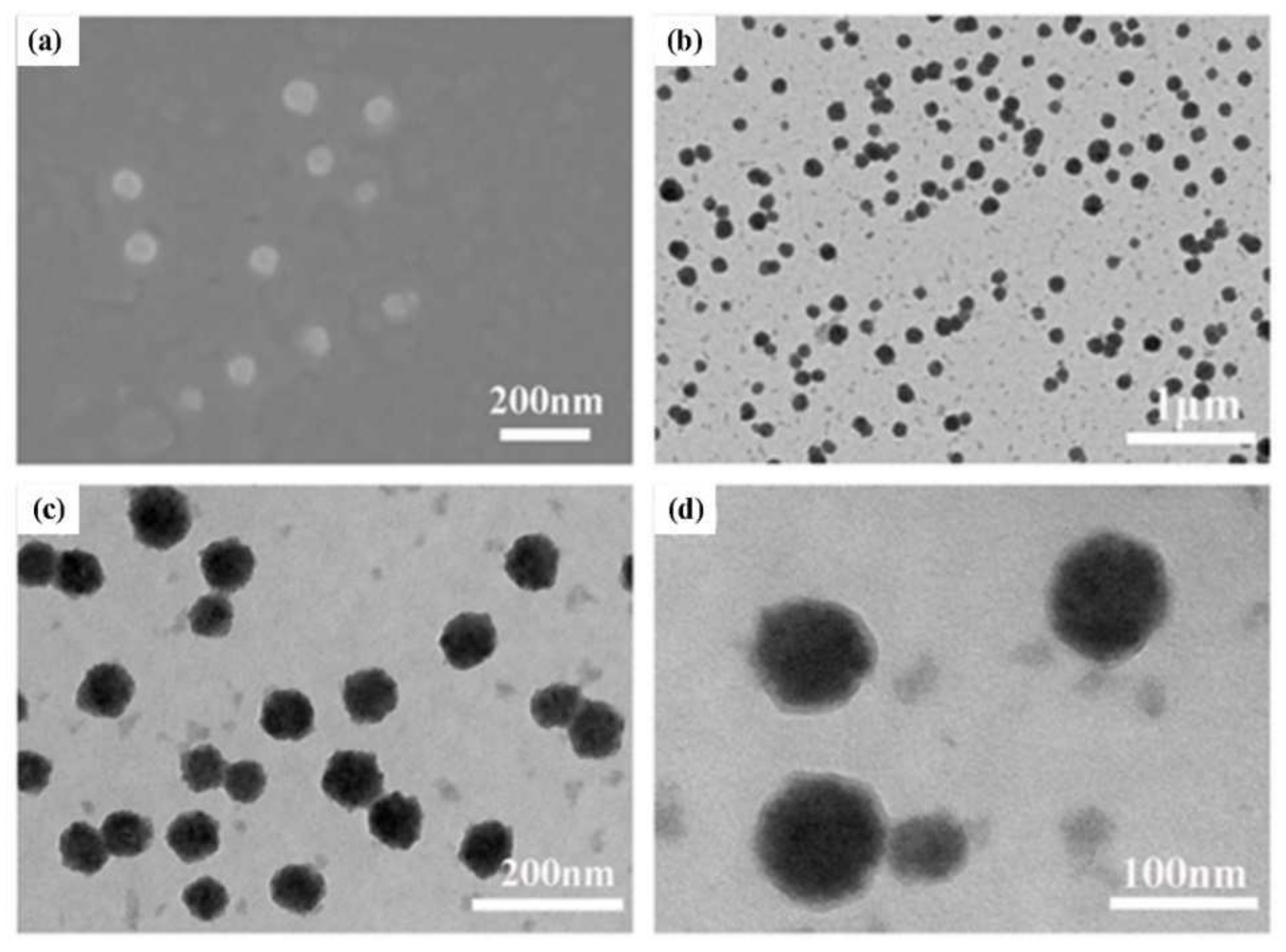 Ijms 23 12071 g002 Ijms 23 12071 g002