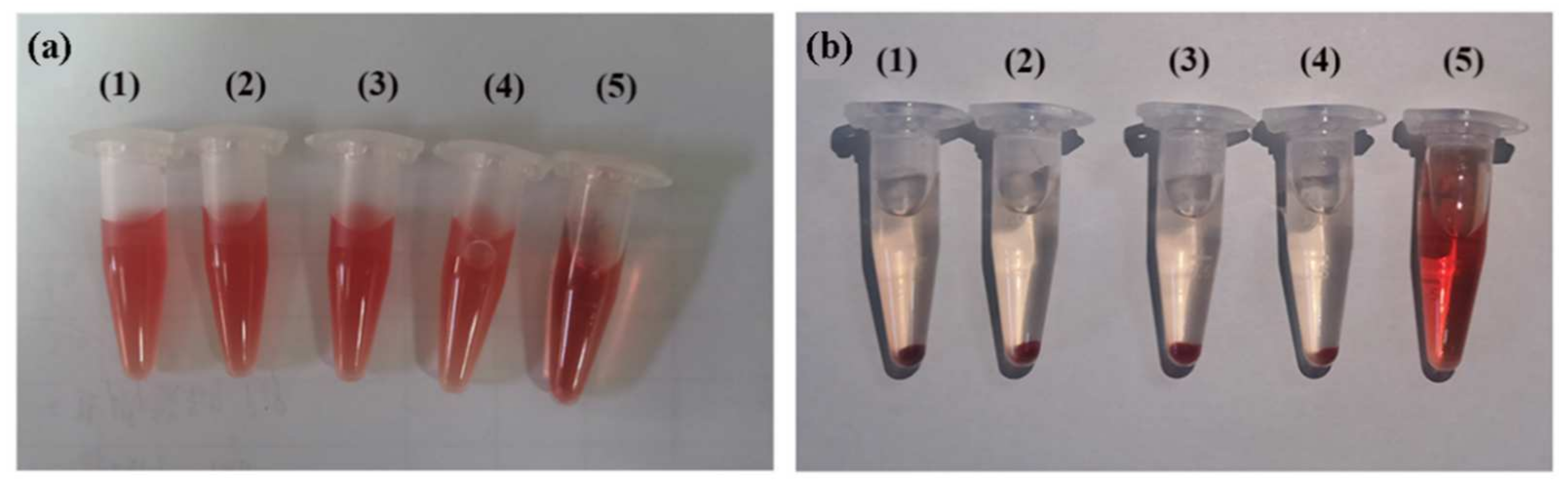 Ijms 23 12071 g005 Ijms 23 12071 g005