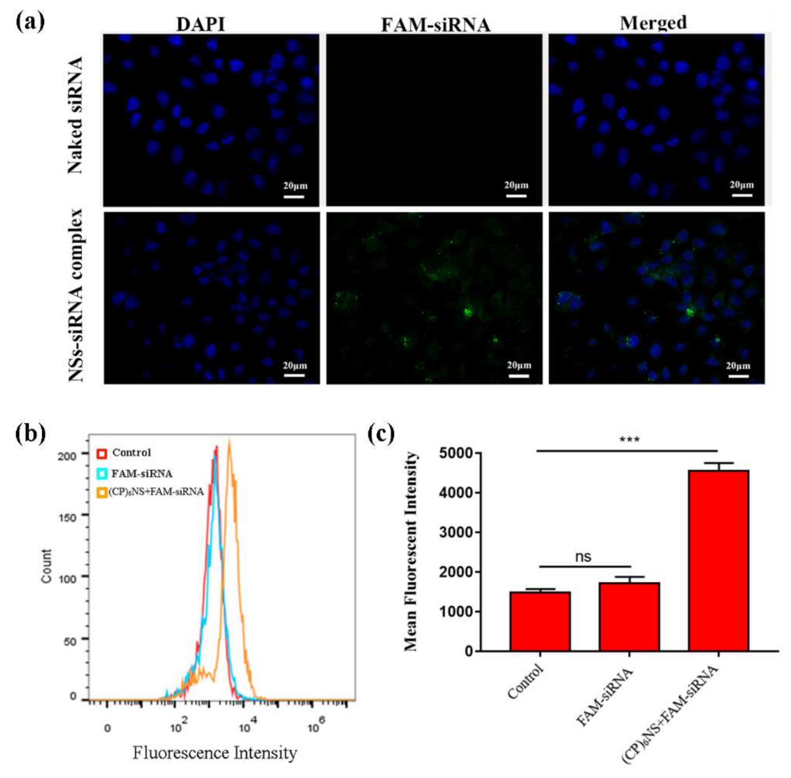 Ijms 23 12071 g006 Ijms 23 12071 g006