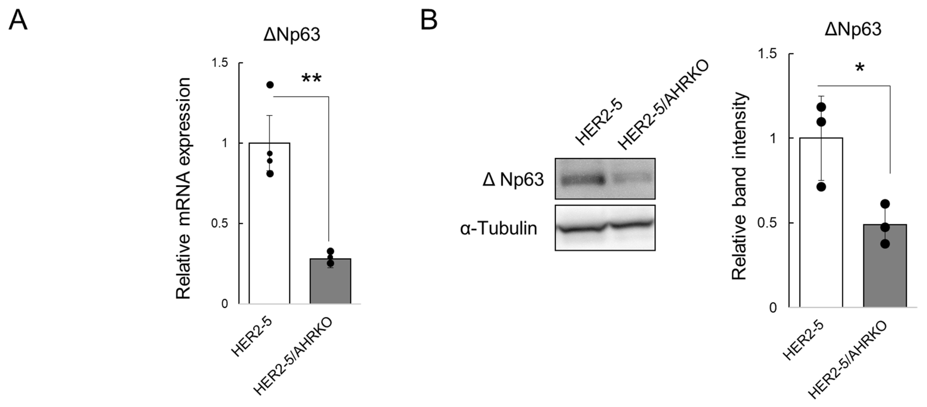 Ijms 23 12095 g002 Ijms 23 12095 g002