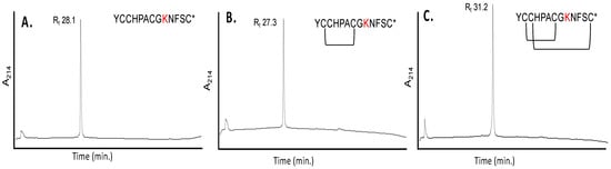 IJMS | Free Full-Text | Research Into The Bioengineering Of A Novel α ...