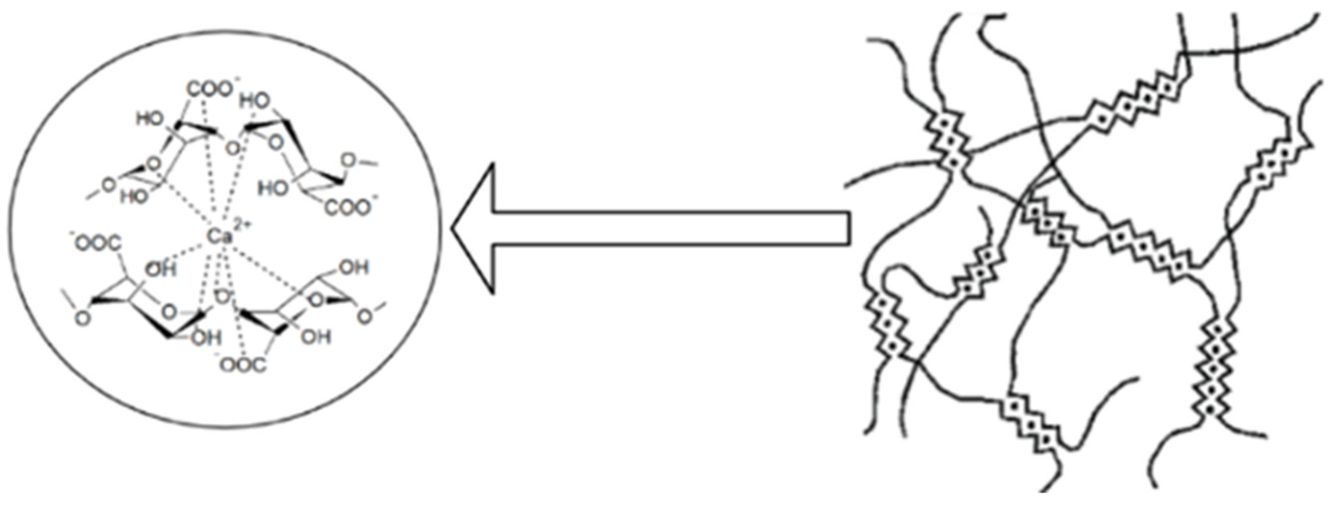 Ijms 23 12108 g002 Ijms 23 12108 g002