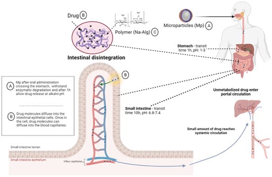 IJMS | Free Full-Text | Sodium Alginate—Natural Microencapsulation ...