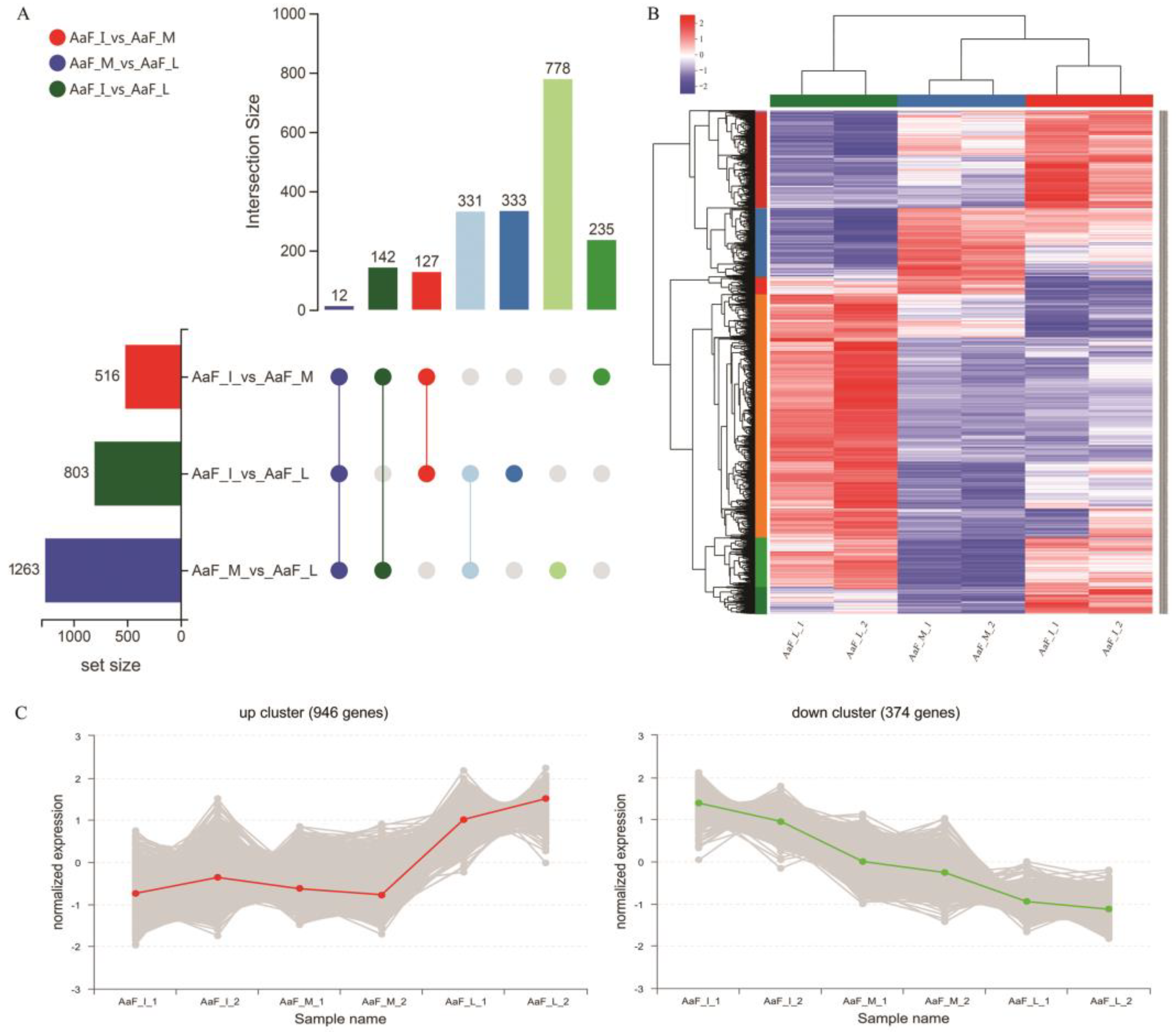 Ijms 23 12120 g002 Ijms 23 12120 g002