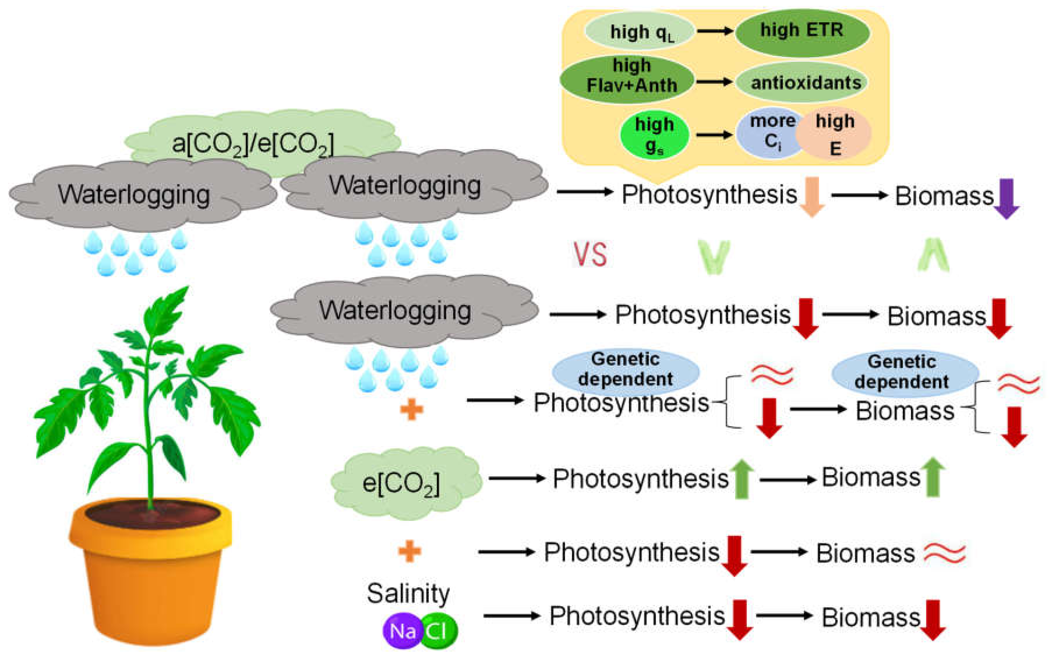 Ijms 23 12121 g007 Ijms 23 12121 g007