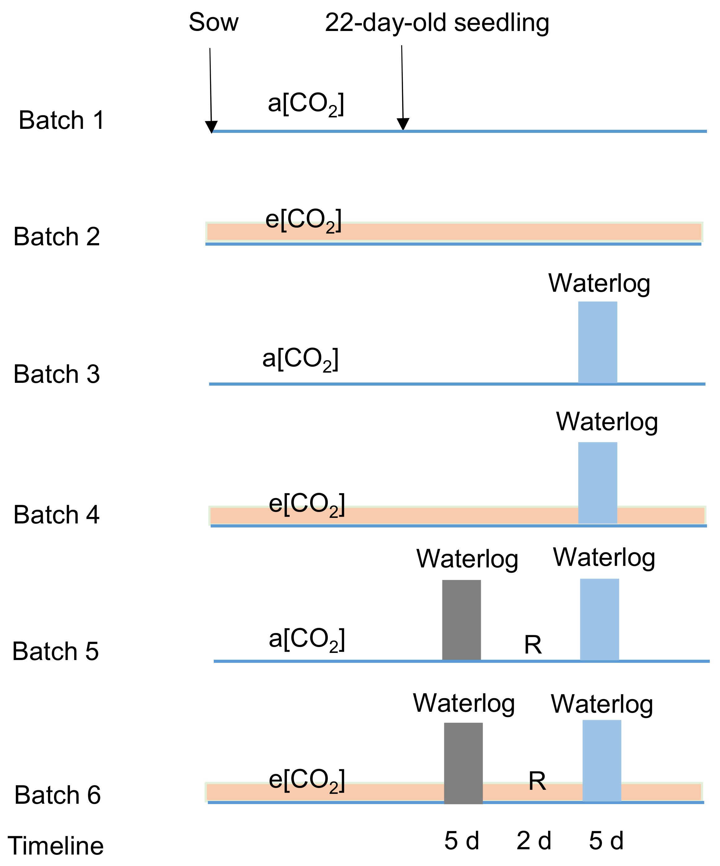 Ijms 23 12121 g008 Ijms 23 12121 g008