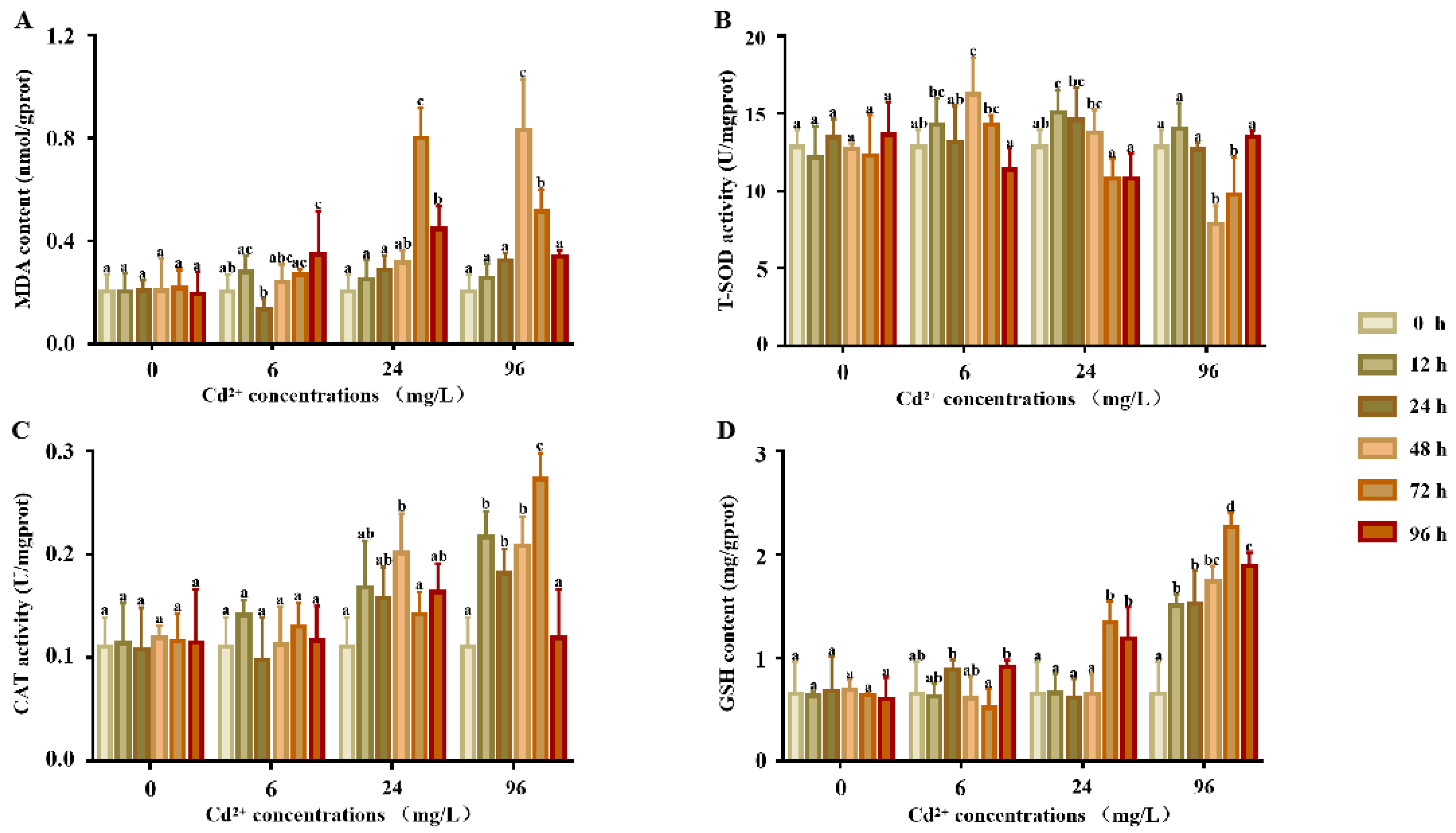 Ijms 23 12136 g001 Ijms 23 12136 g001