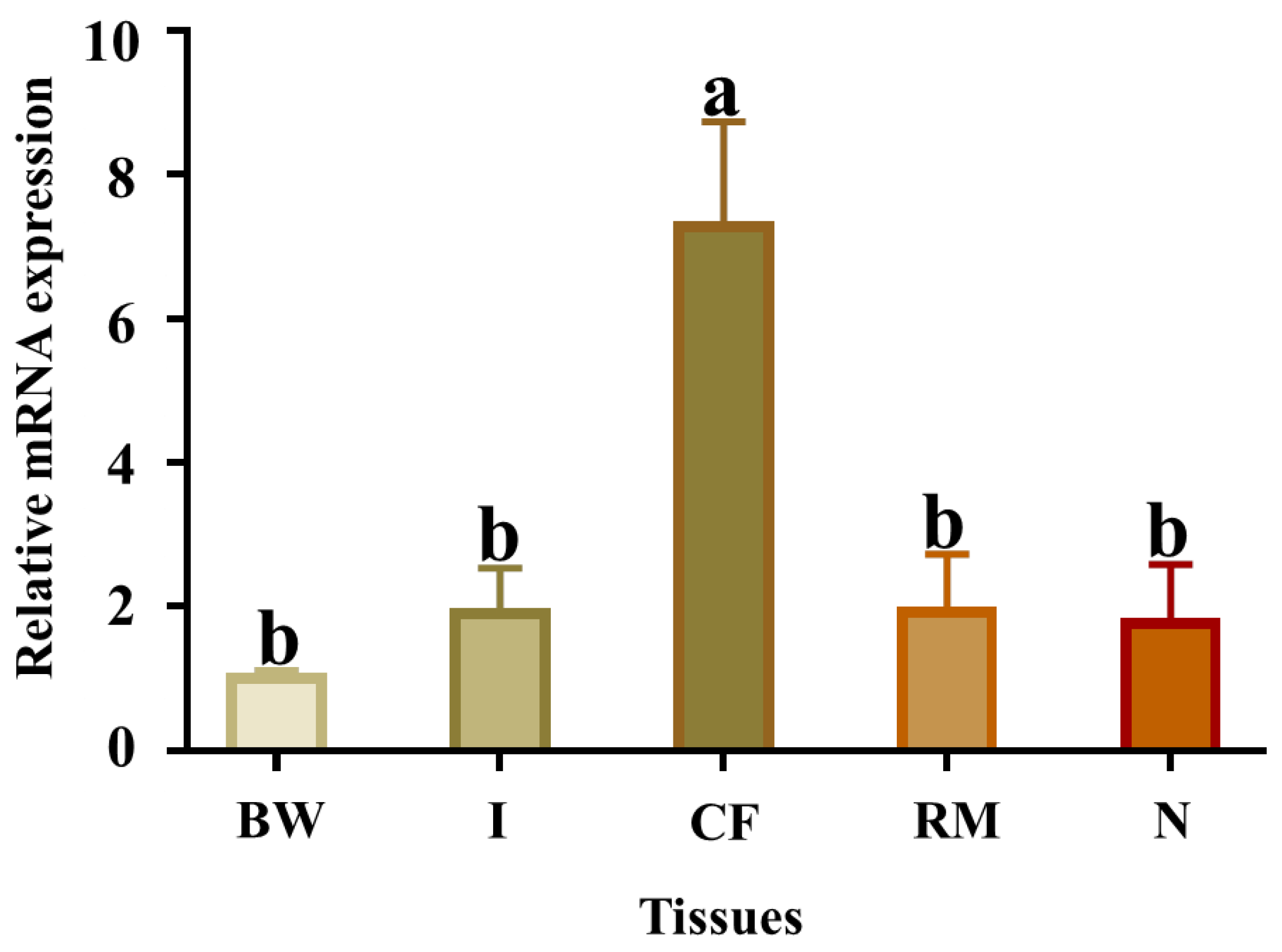 Ijms 23 12136 g006 Ijms 23 12136 g006