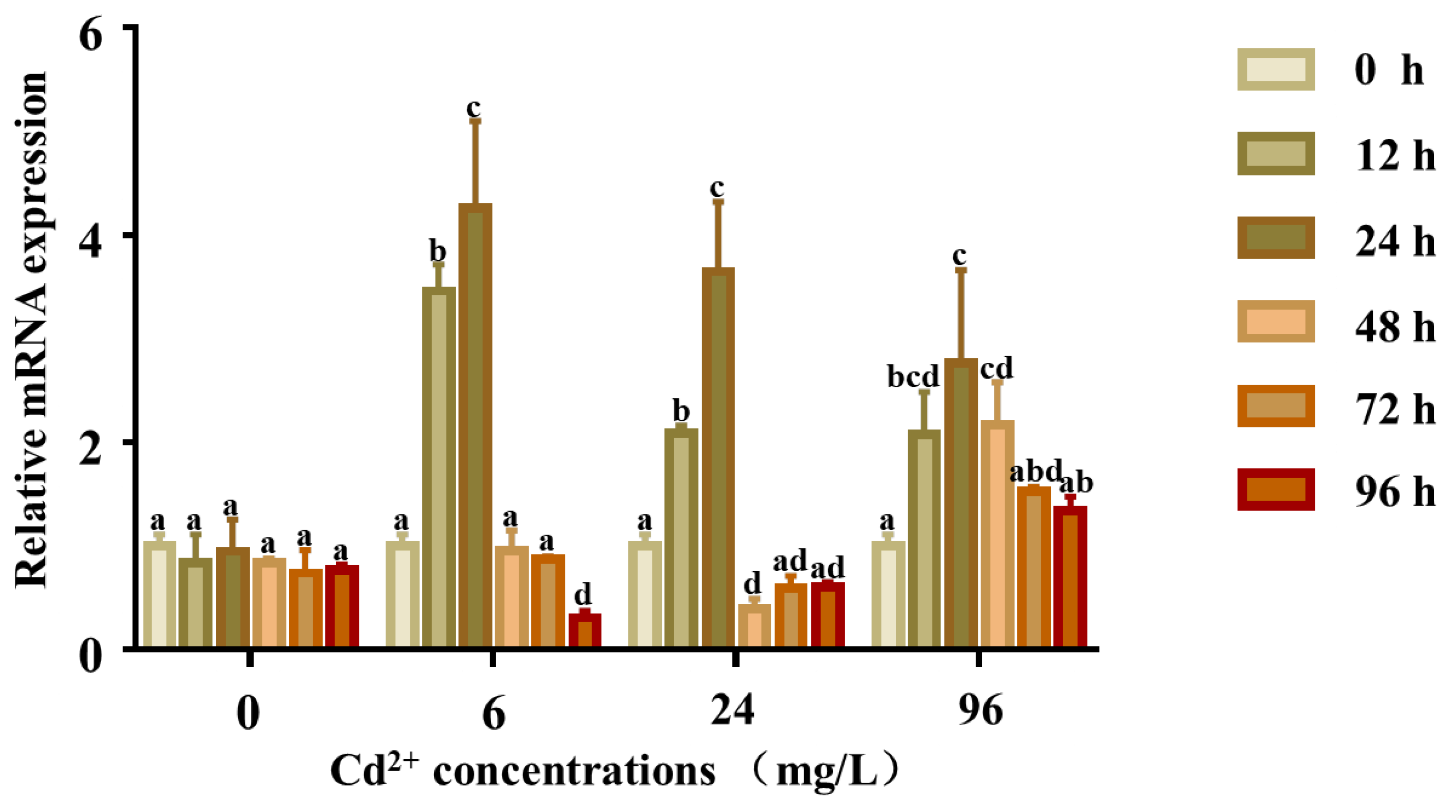 Ijms 23 12136 g007 Ijms 23 12136 g007