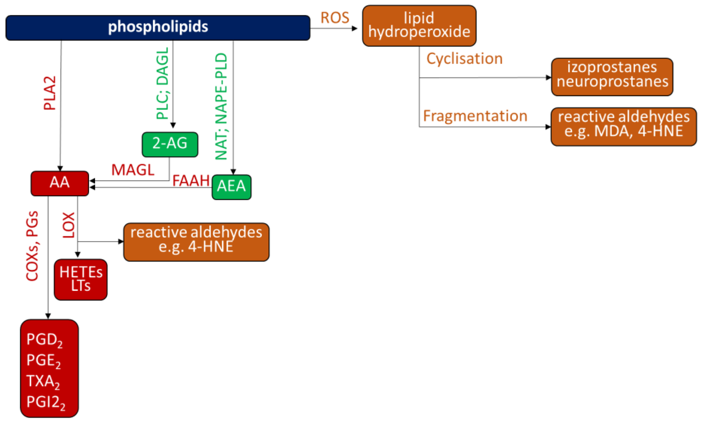 Ijms 23 12137 g002 Ijms 23 12137 g002