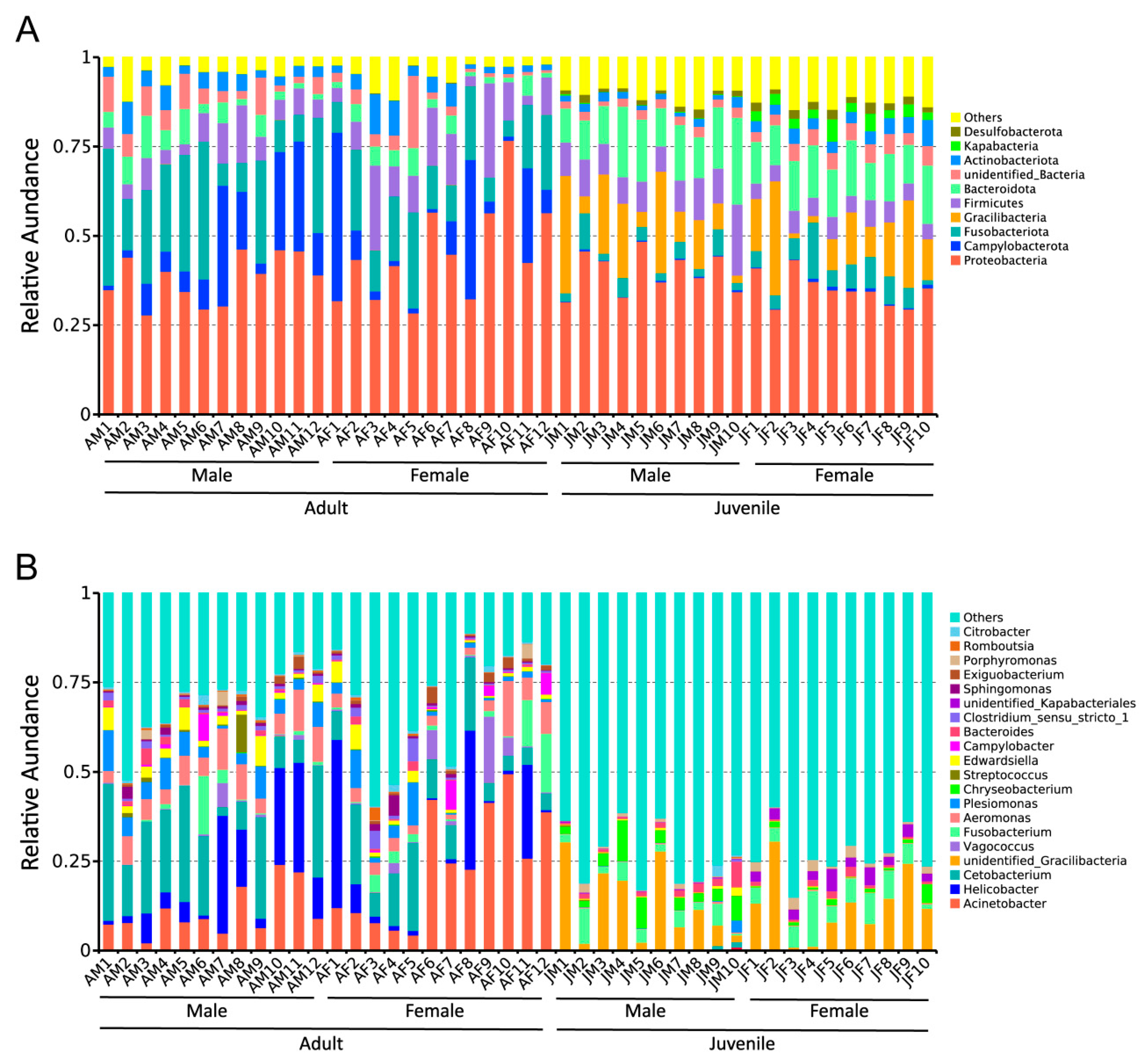Ijms 23 12140 g001 Ijms 23 12140 g001