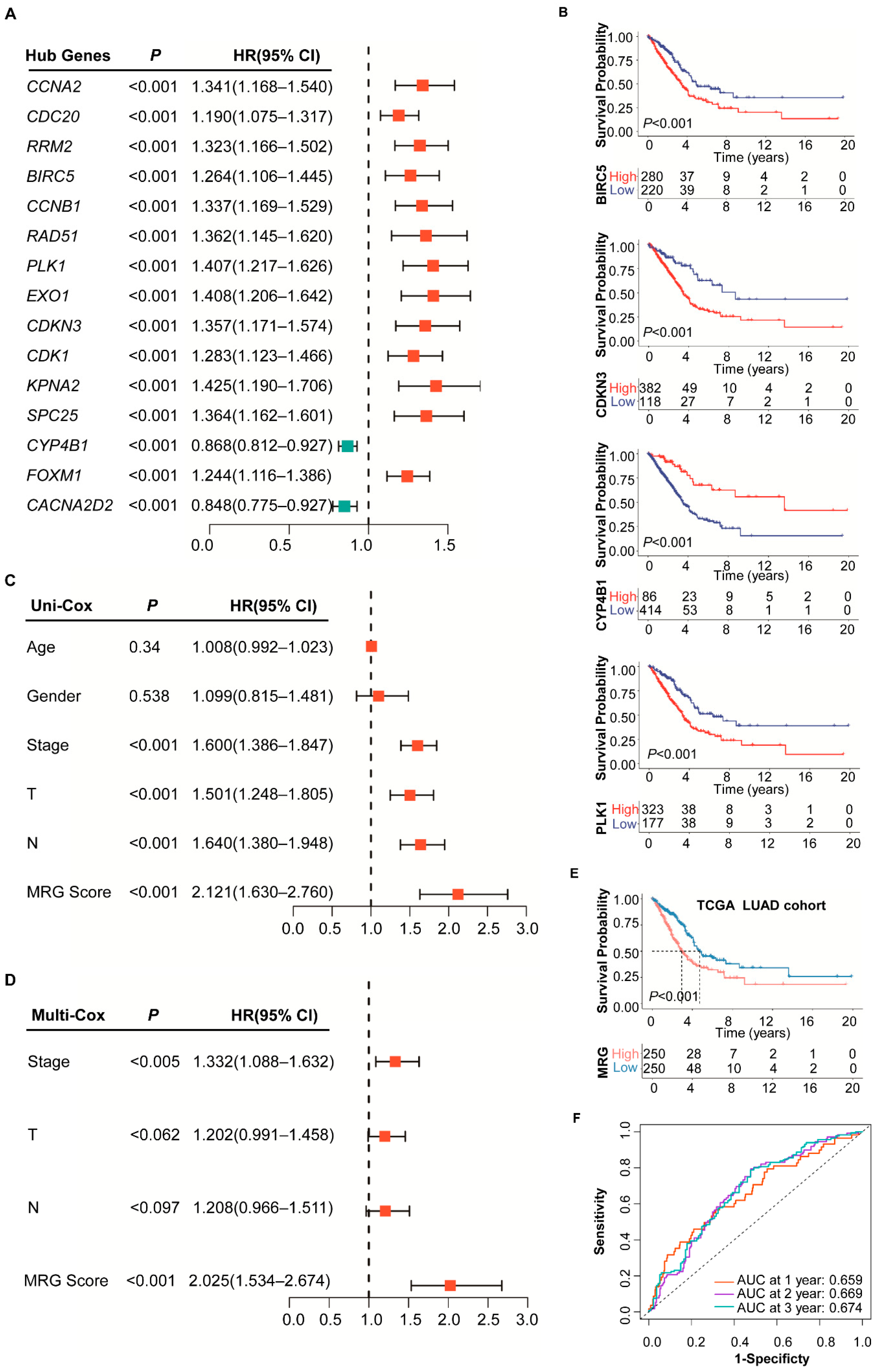 Ijms 23 12143 g001 Ijms 23 12143 g001