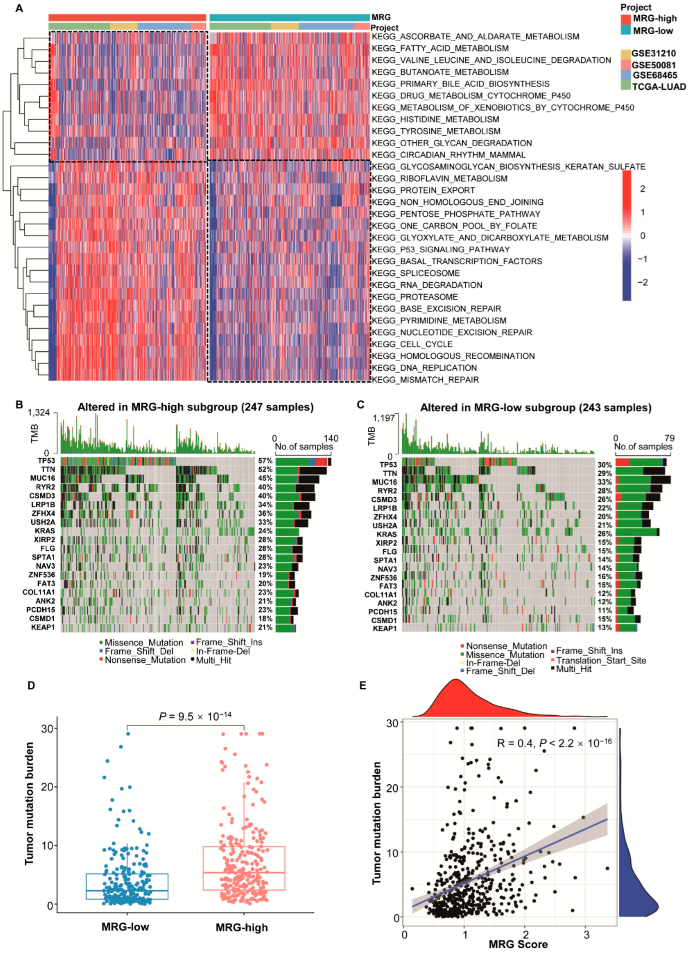 Ijms 23 12143 g003 Ijms 23 12143 g003