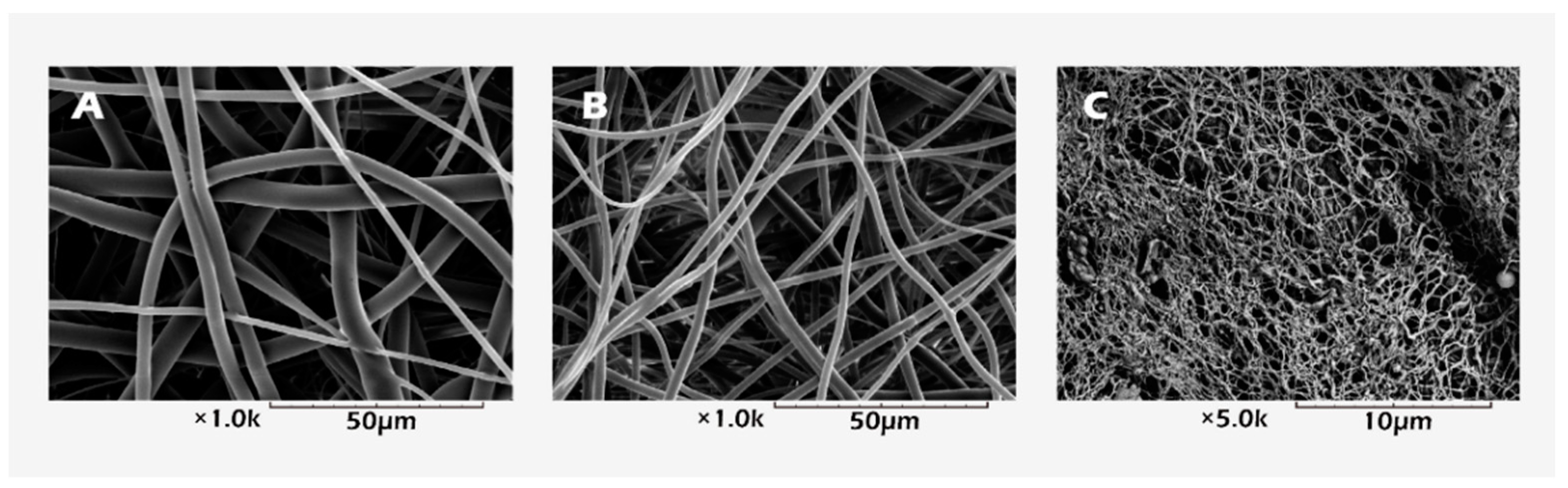 Ijms 23 12145 g008 Ijms 23 12145 g008