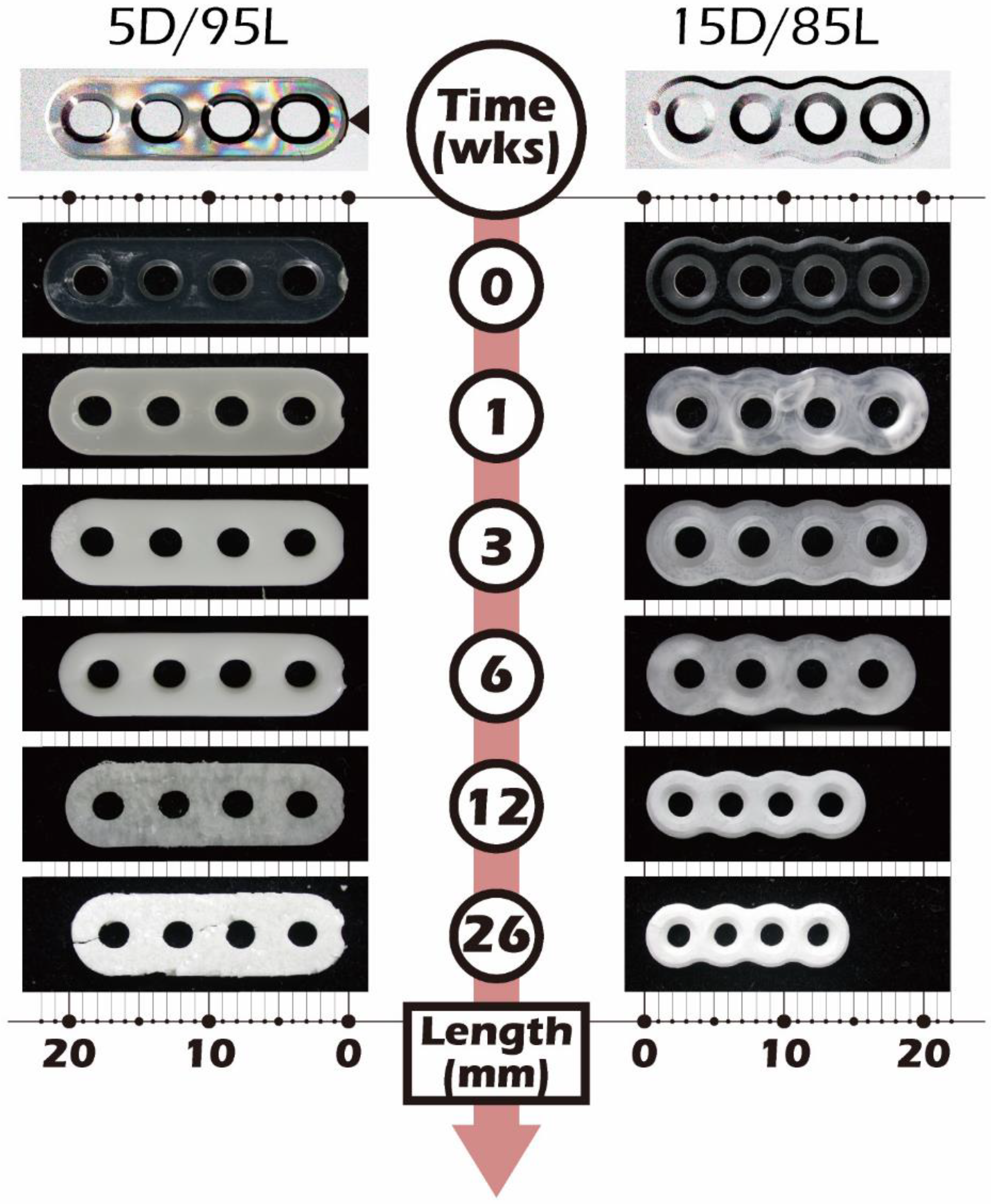 Ijms 23 12145 g010 Ijms 23 12145 g010