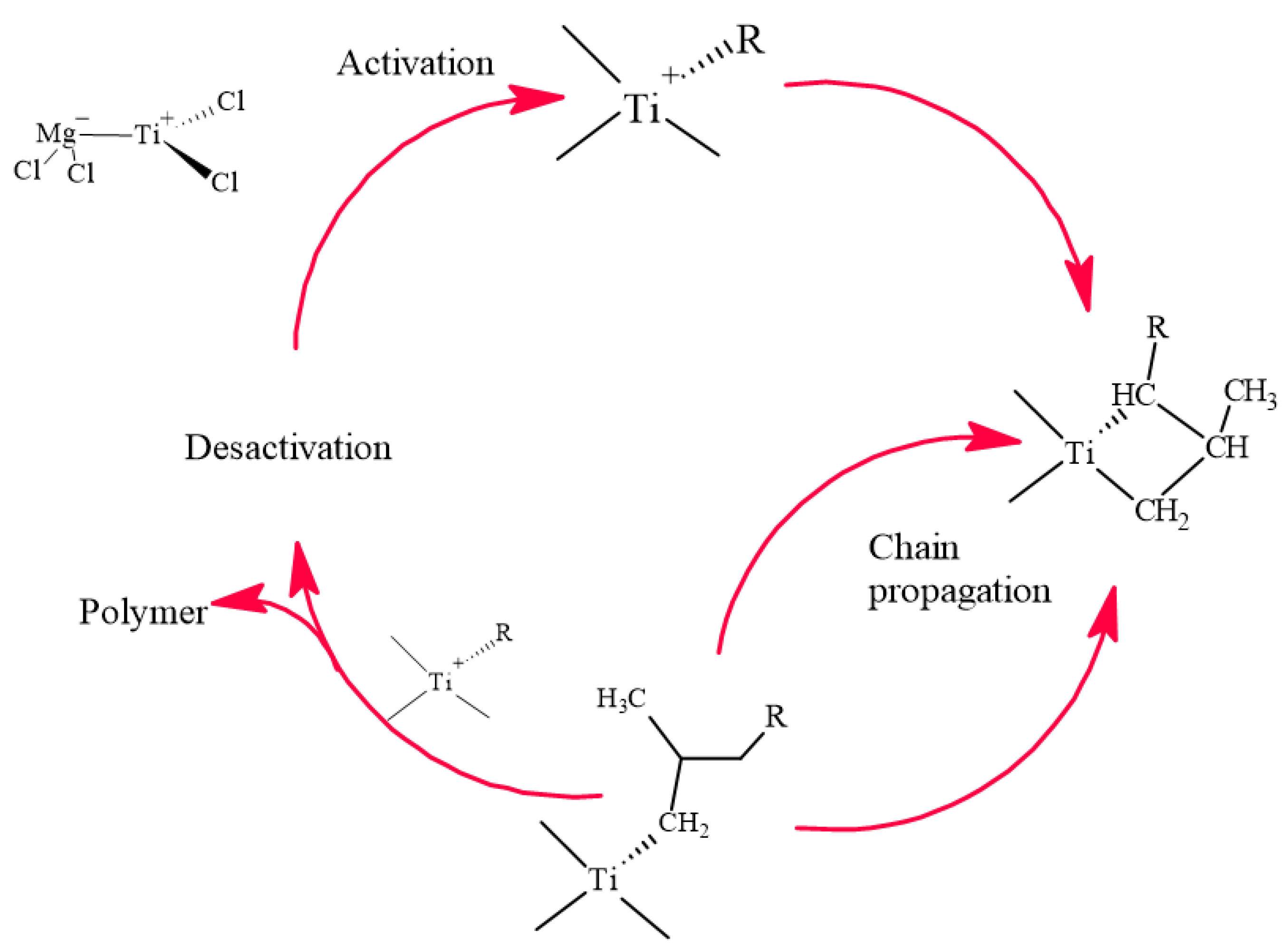 Ijms 23 12148 g004 Ijms 23 12148 g004