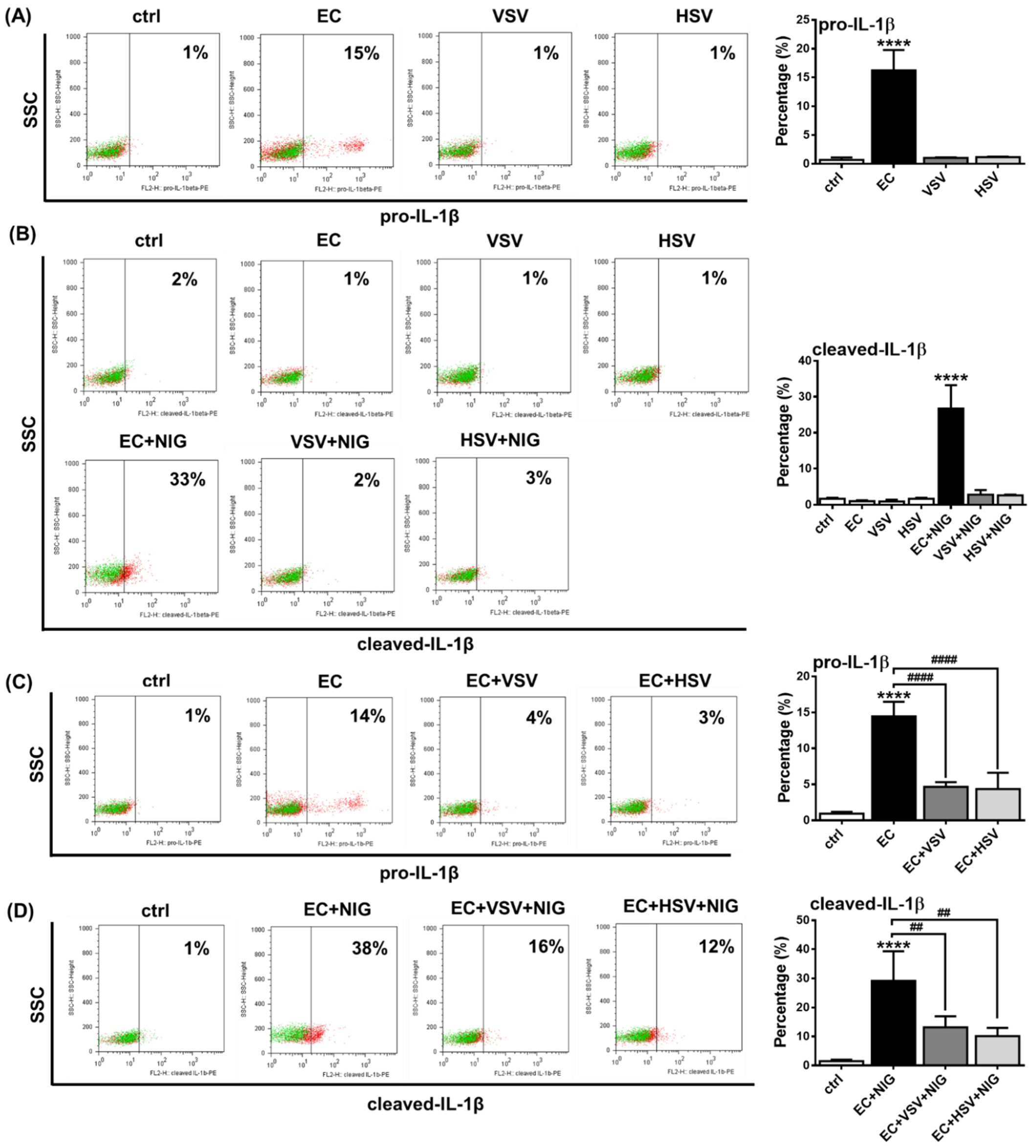 Ijms Free Full Text Interactions Between The Nlrp3 Dependent Il 1β And The Type I Interferon