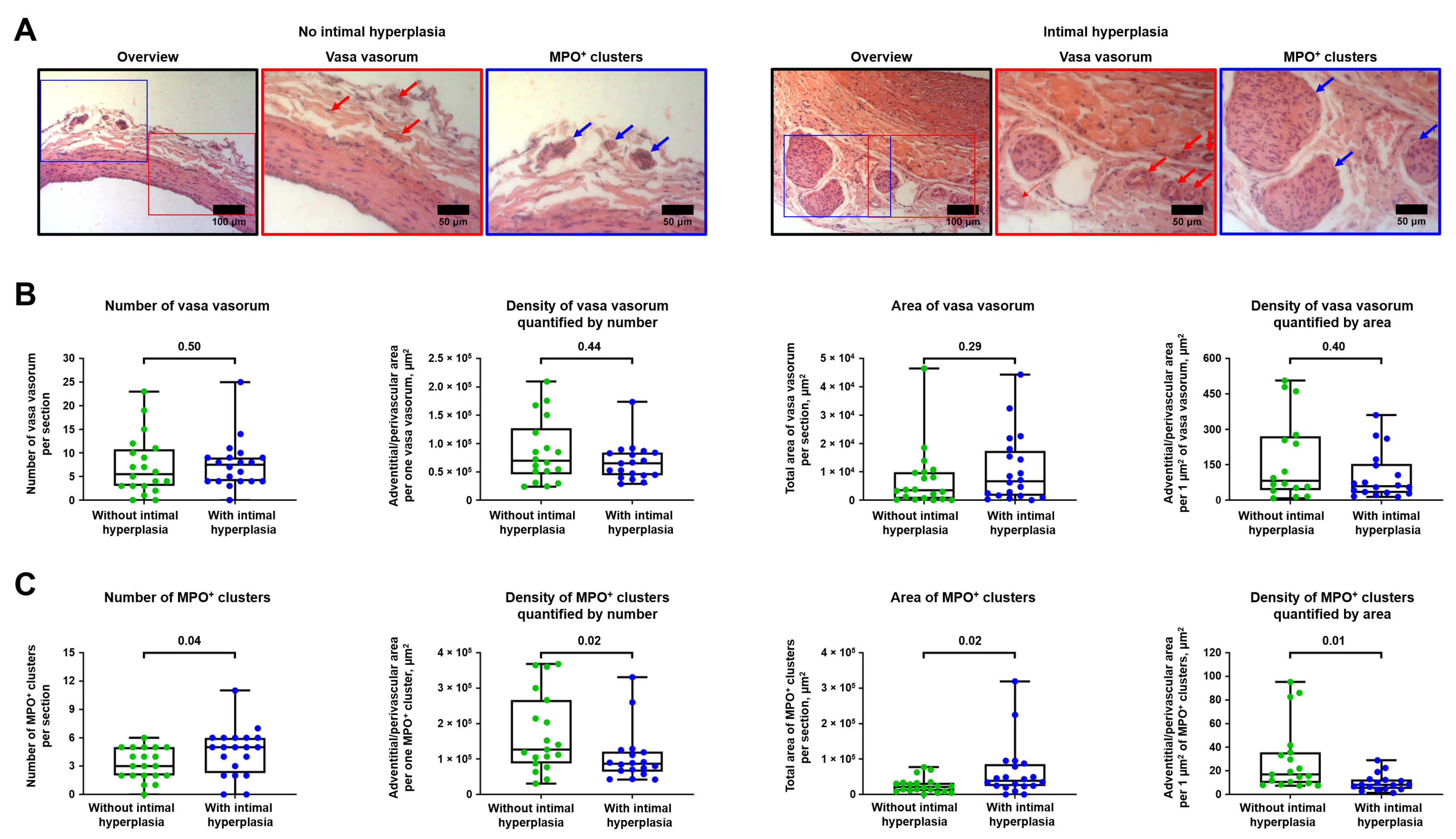 Ijms 23 12156 g003 Ijms 23 12156 g003