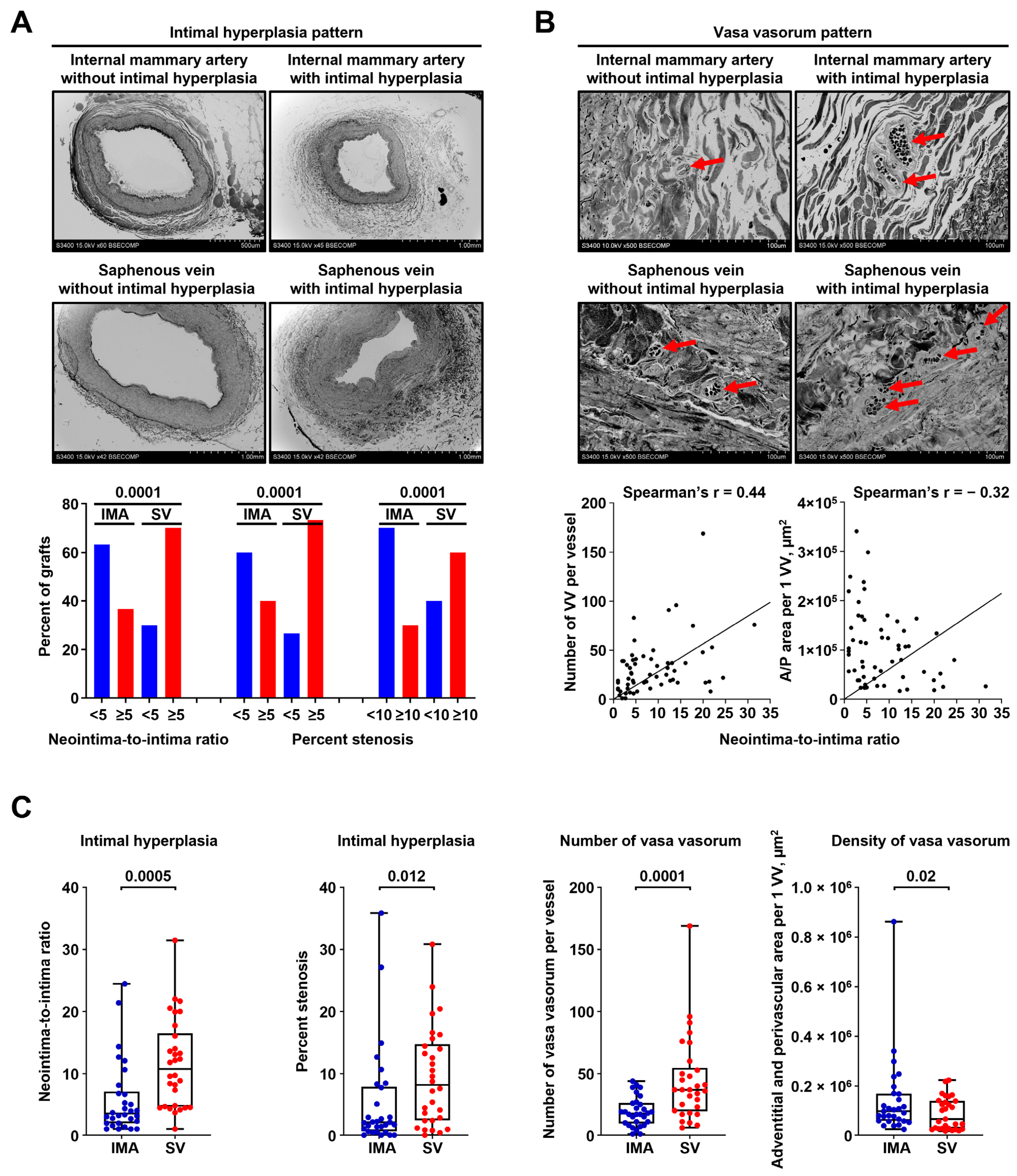 Ijms 23 12156 g006 Ijms 23 12156 g006