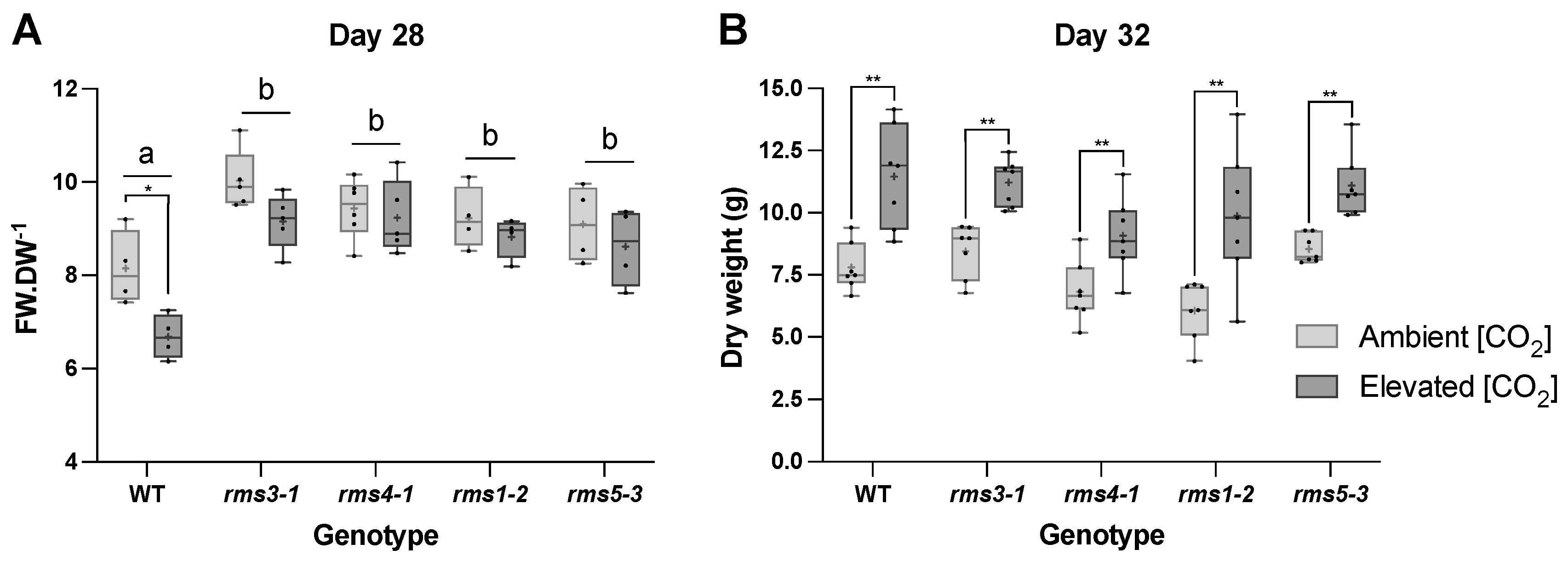 Ijms 23 12160 g003 Ijms 23 12160 g003