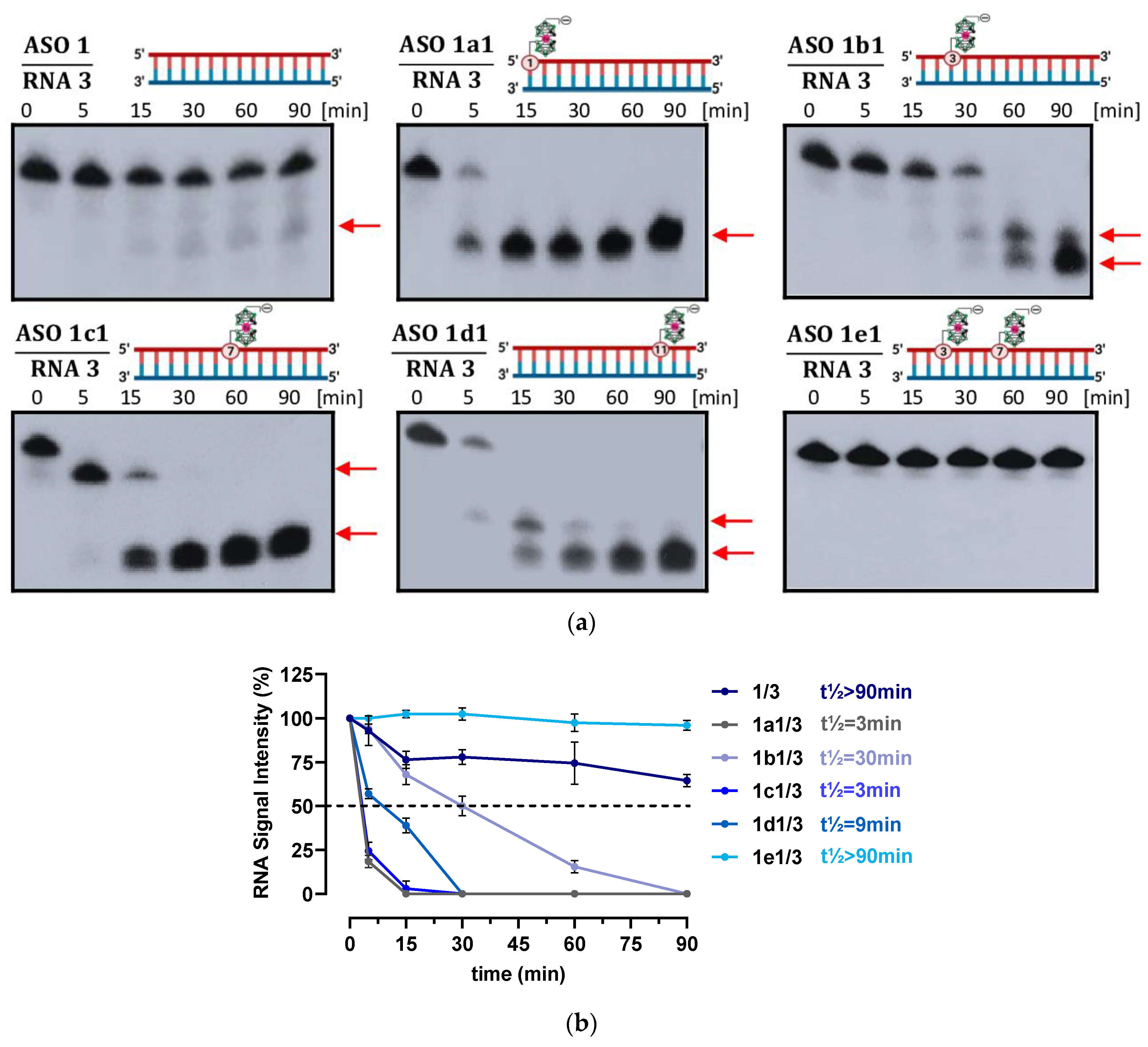 Ijms 23 12190 g002 Ijms 23 12190 g002