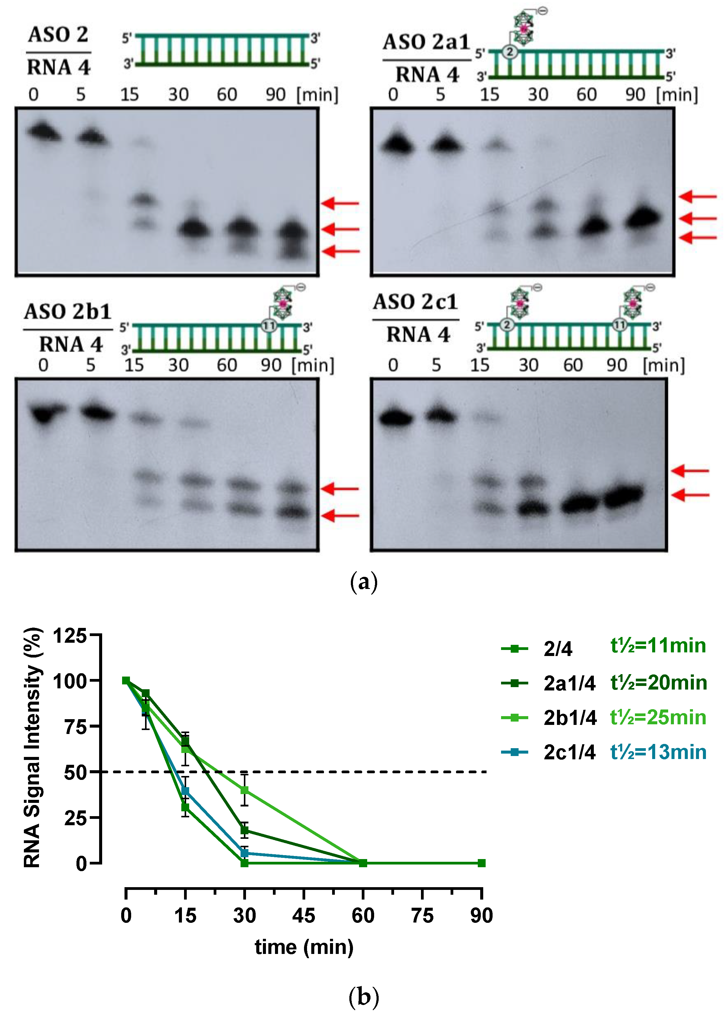 Ijms 23 12190 g003 Ijms 23 12190 g003
