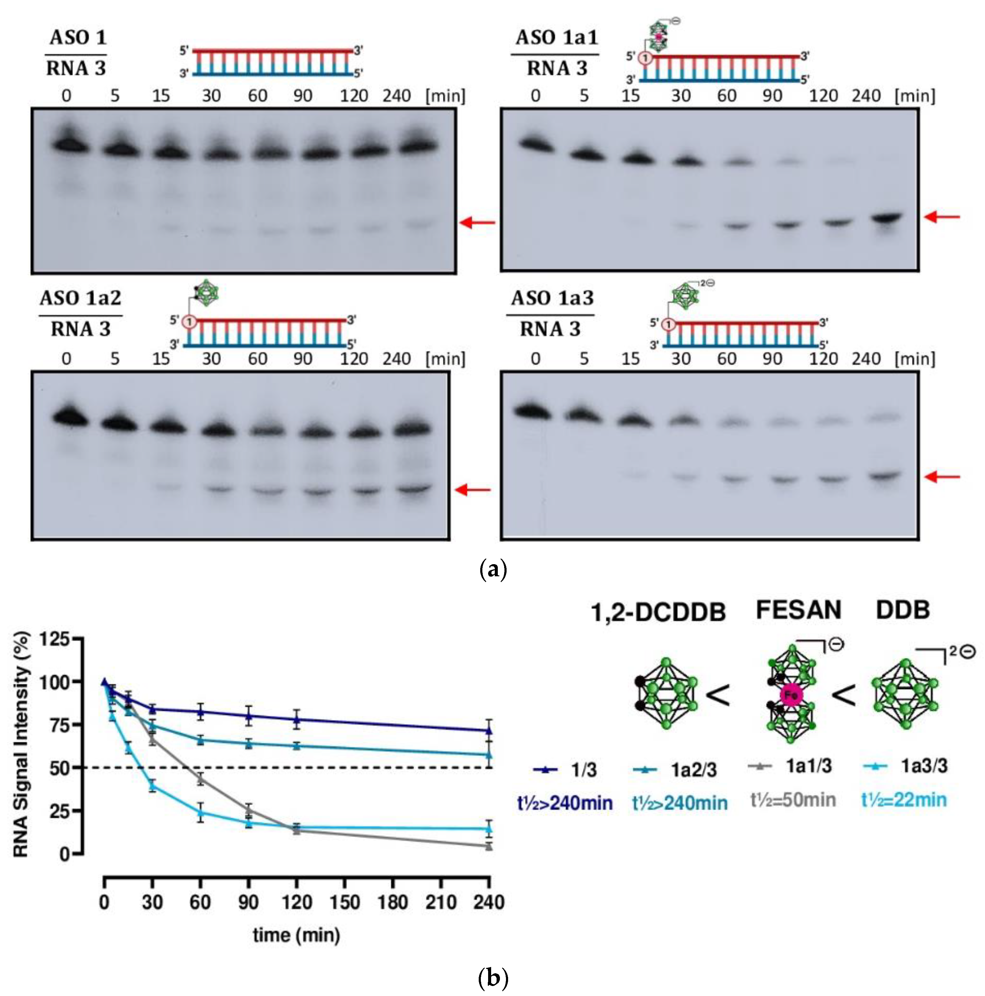 Ijms 23 12190 g004 Ijms 23 12190 g004
